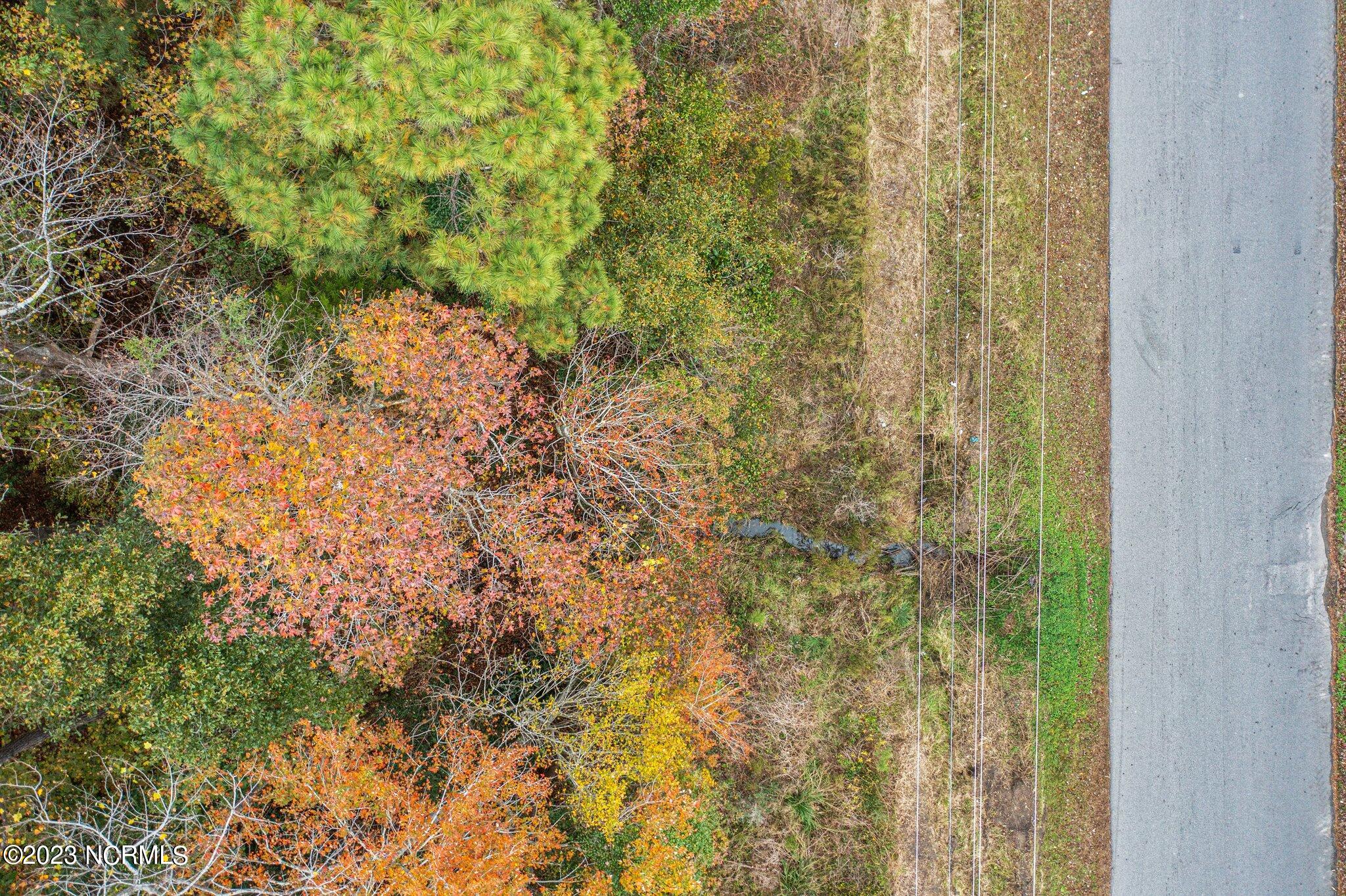 100415479 | Photo 26