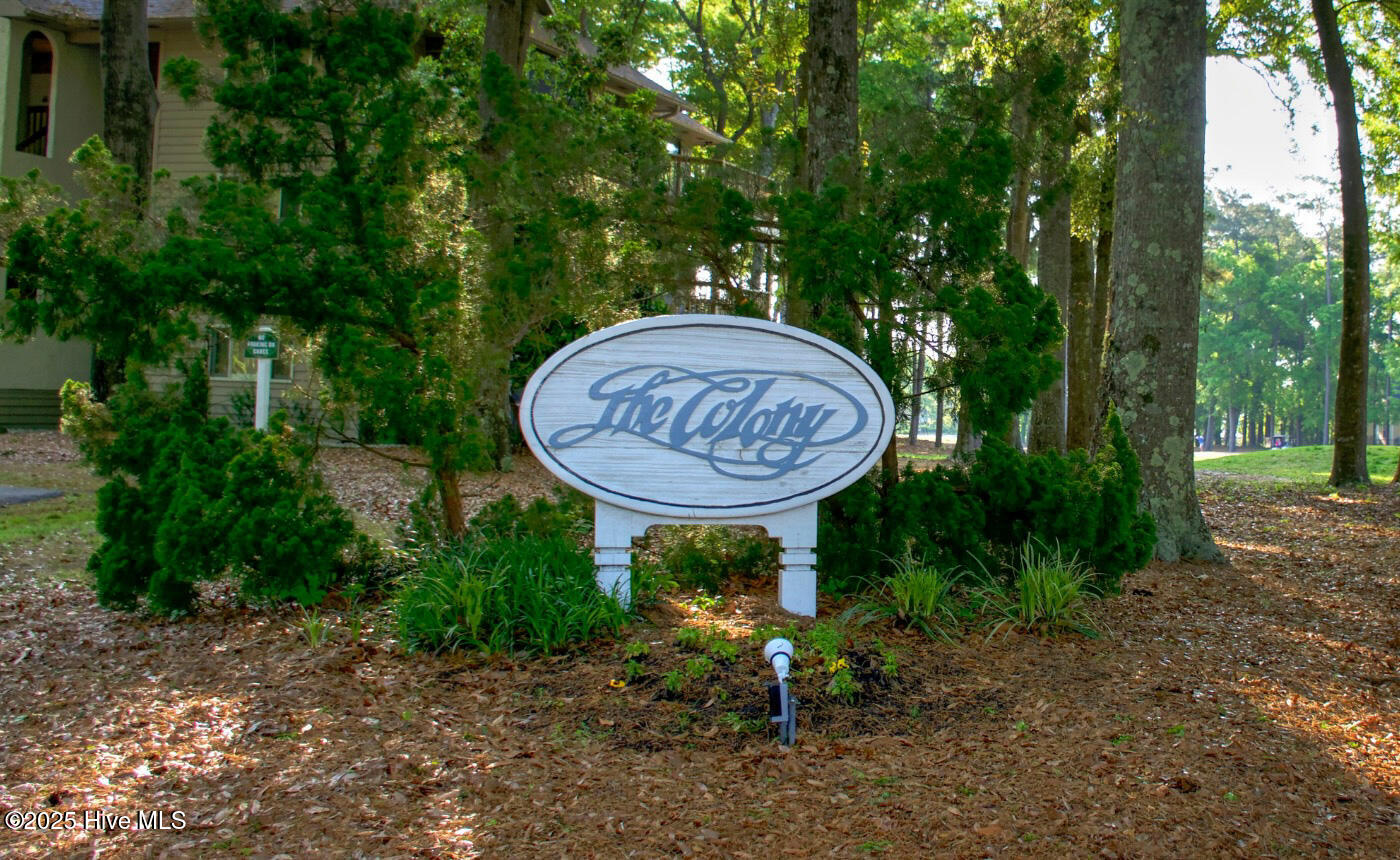 100530138 | Photo 31