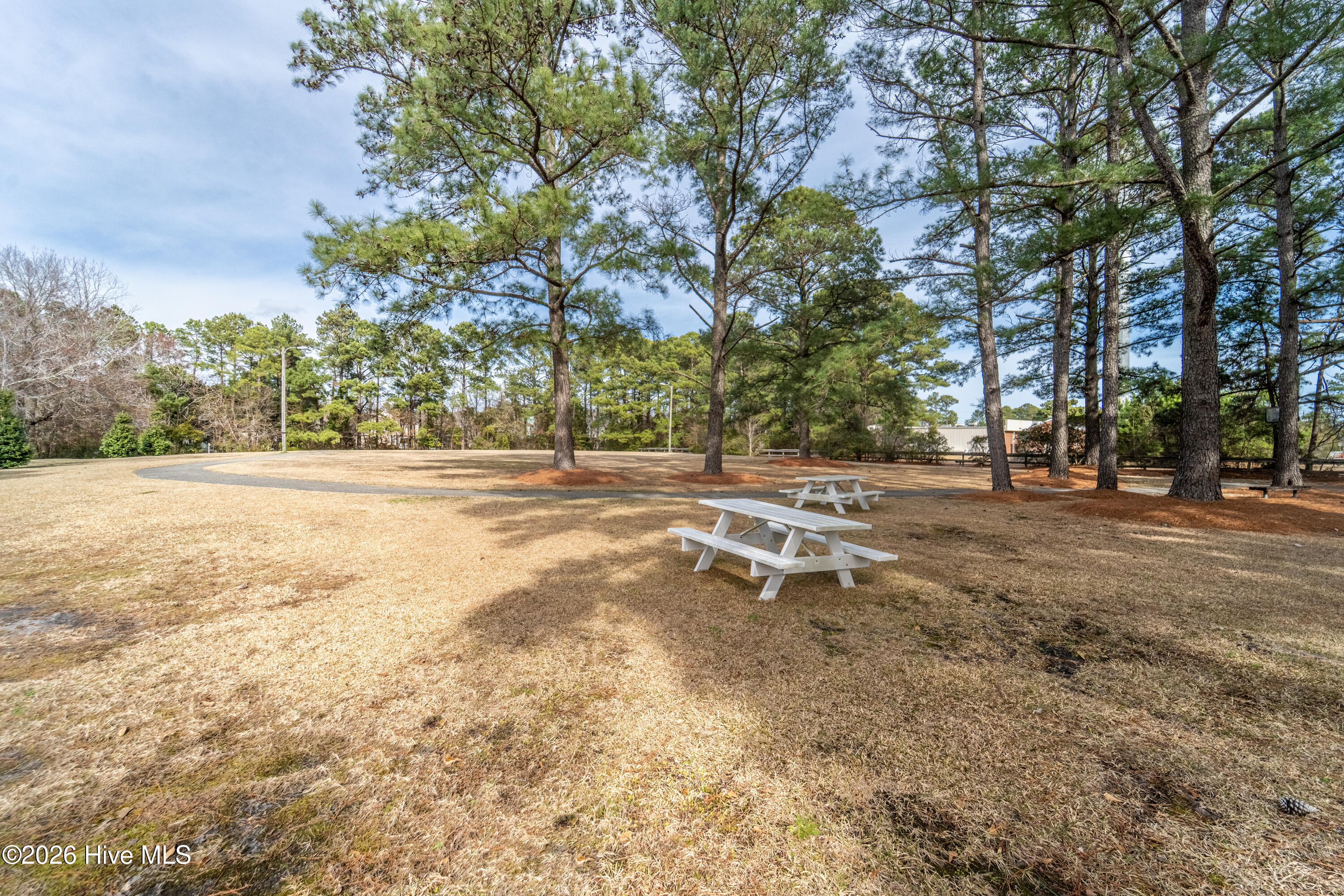 100555847 | Photo 28