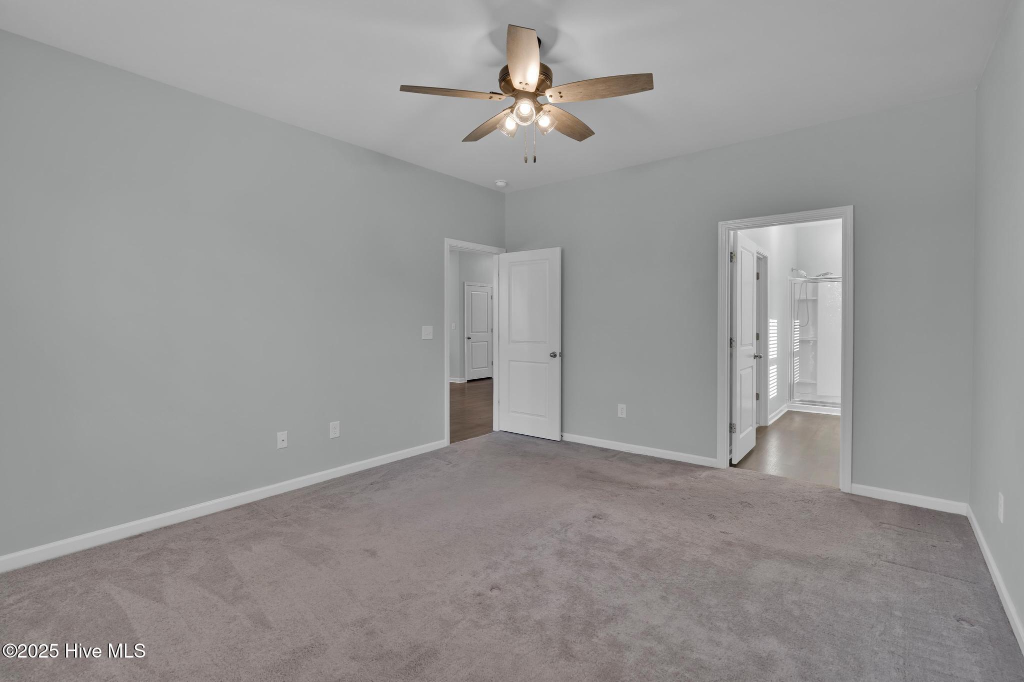 100542071 | Photo 13