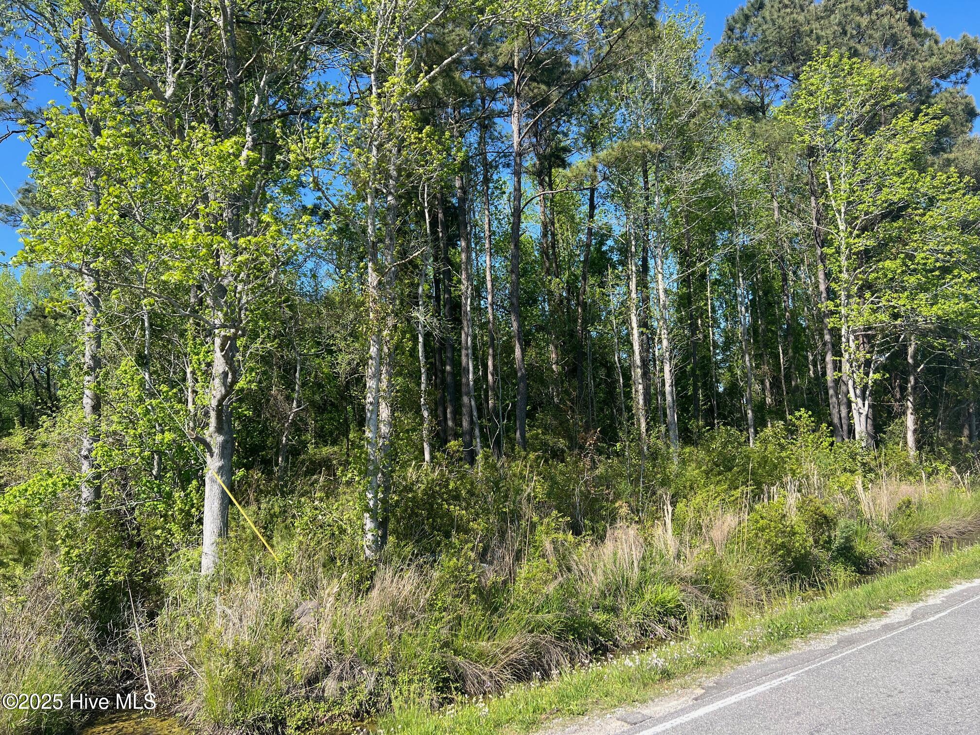 Featured Property 770 Laurel 