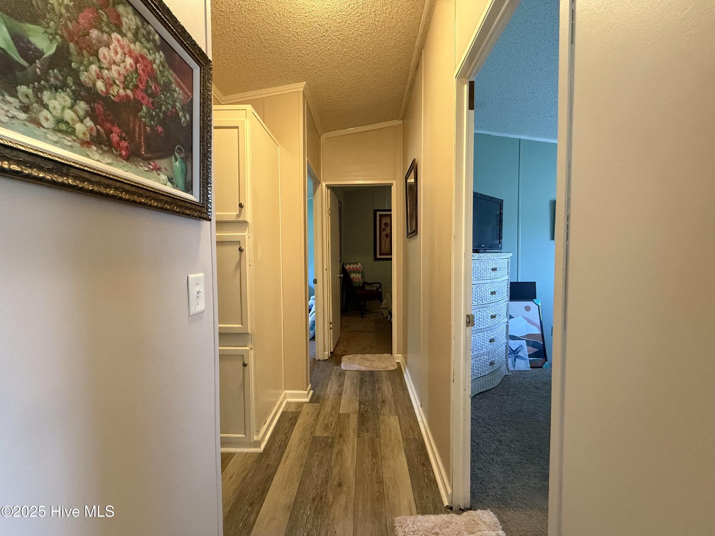 100502105 | Photo 41