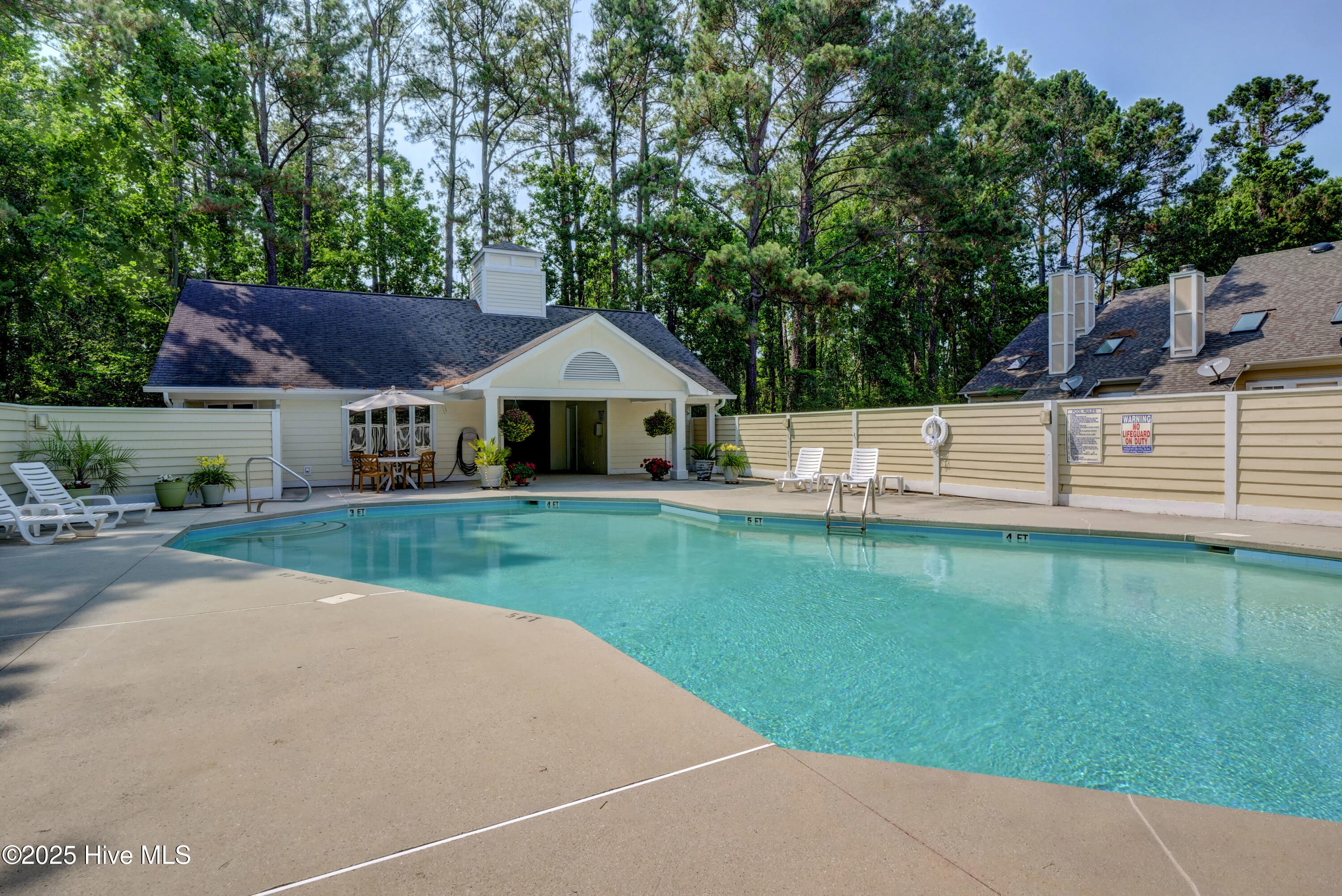 100557867 | Photo 34