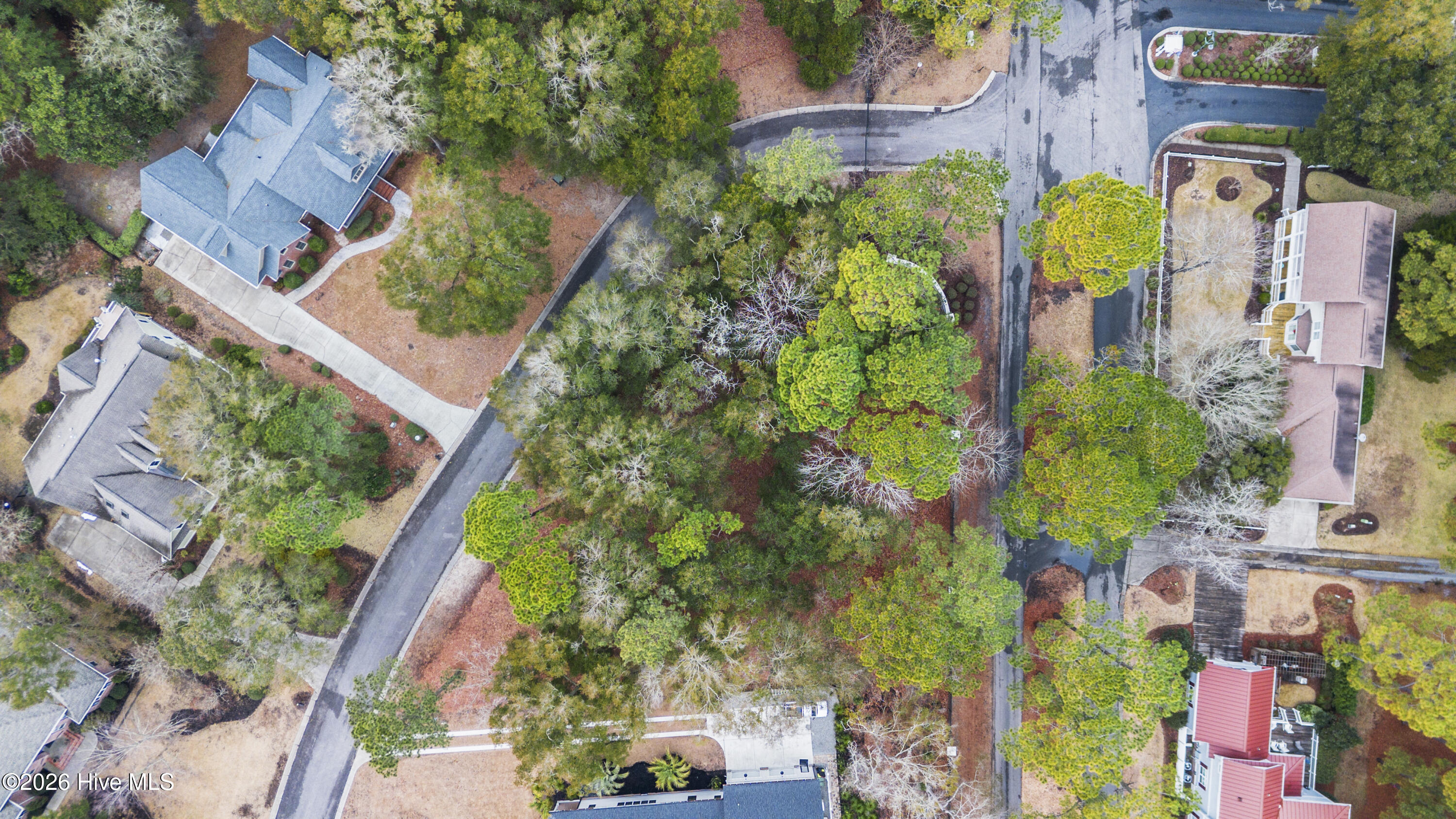 100553225 | Photo 10