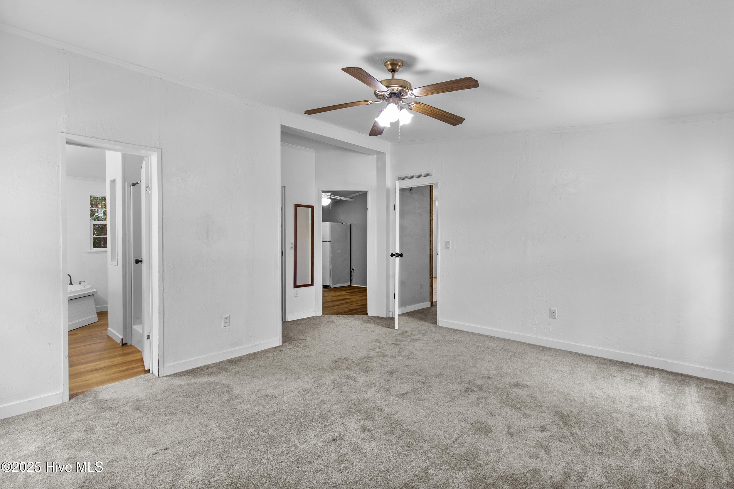 100515334 | Photo 34