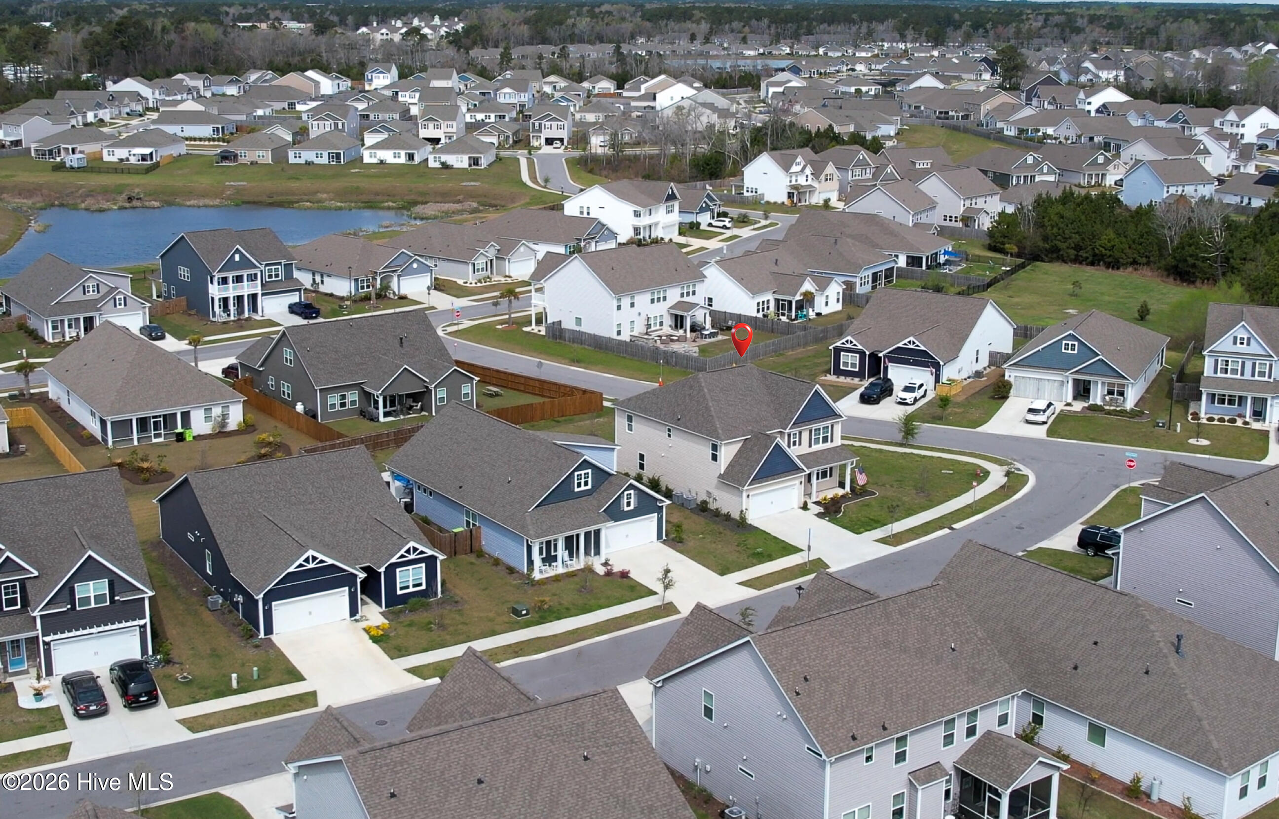 100562983 | Photo 13