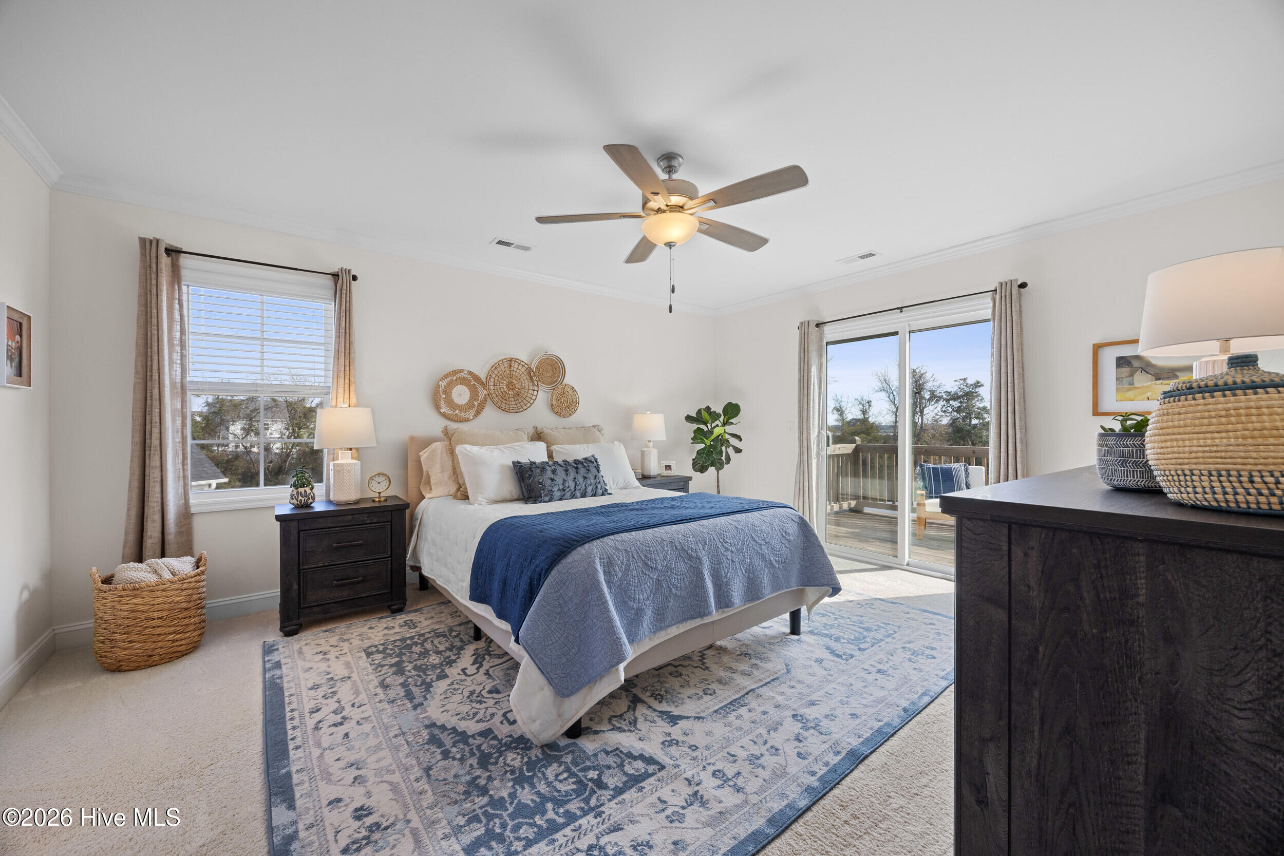 100555397 | Photo 31