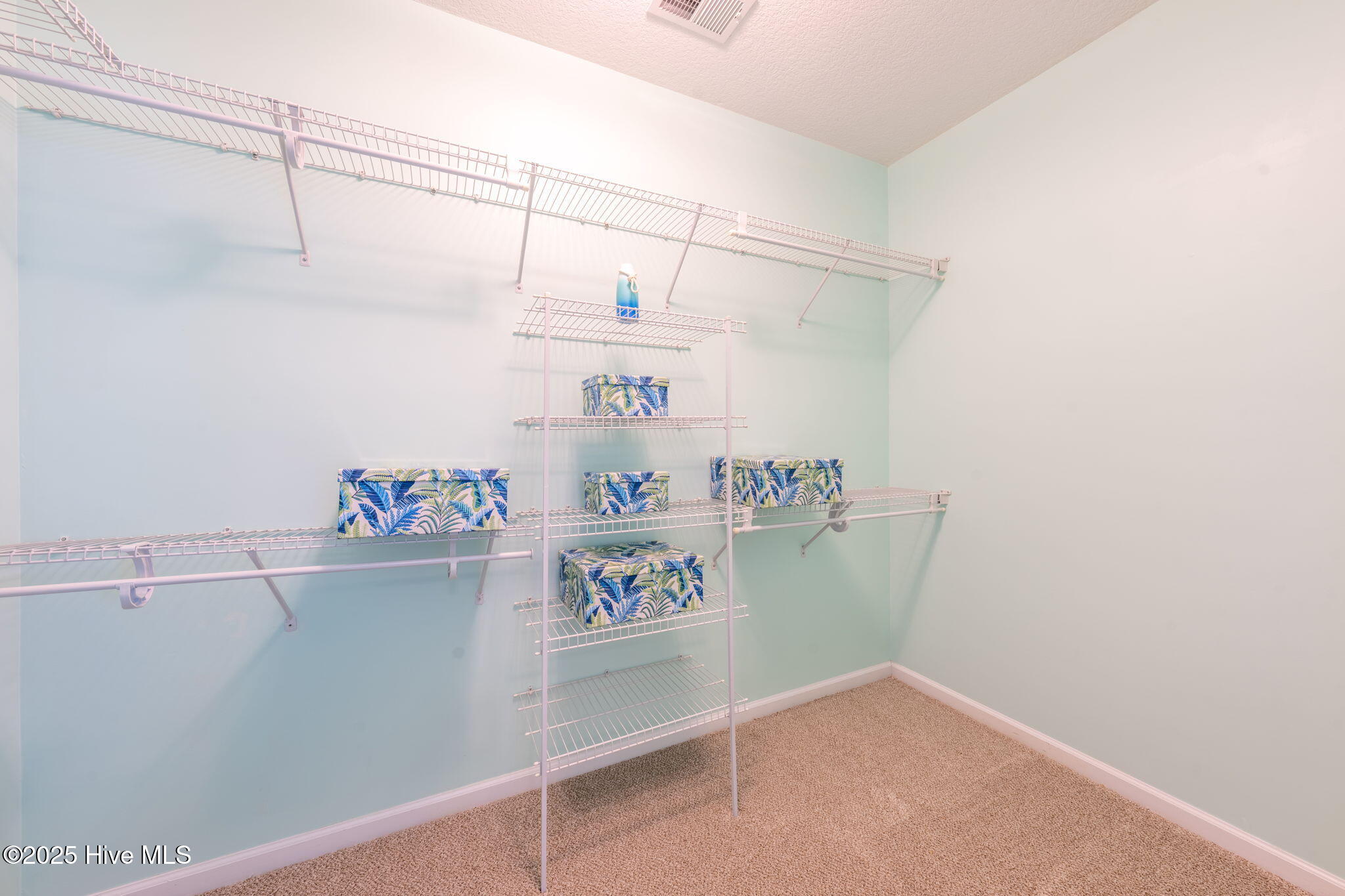 100528554 | Photo 21