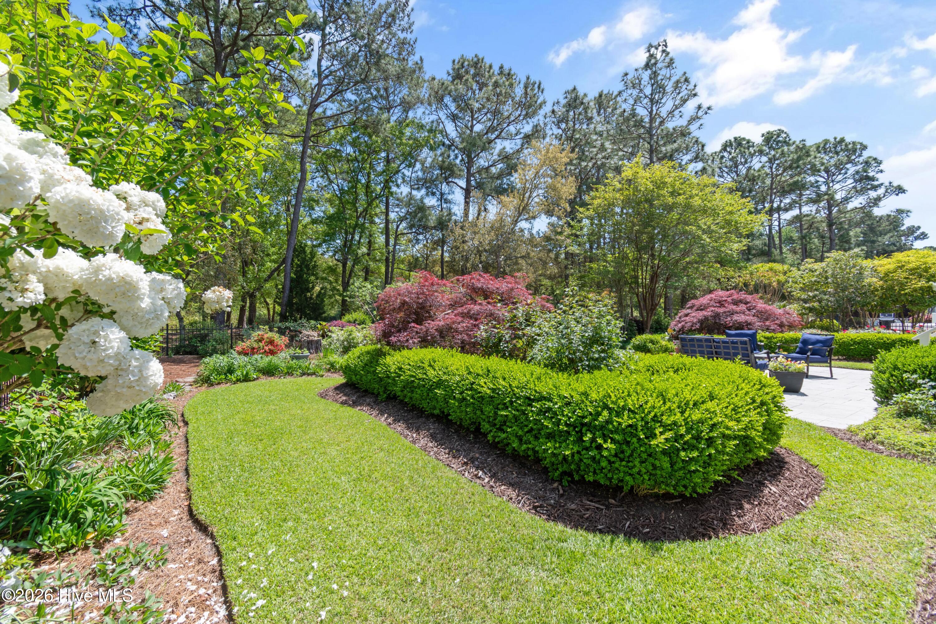 100567309 | Photo 58