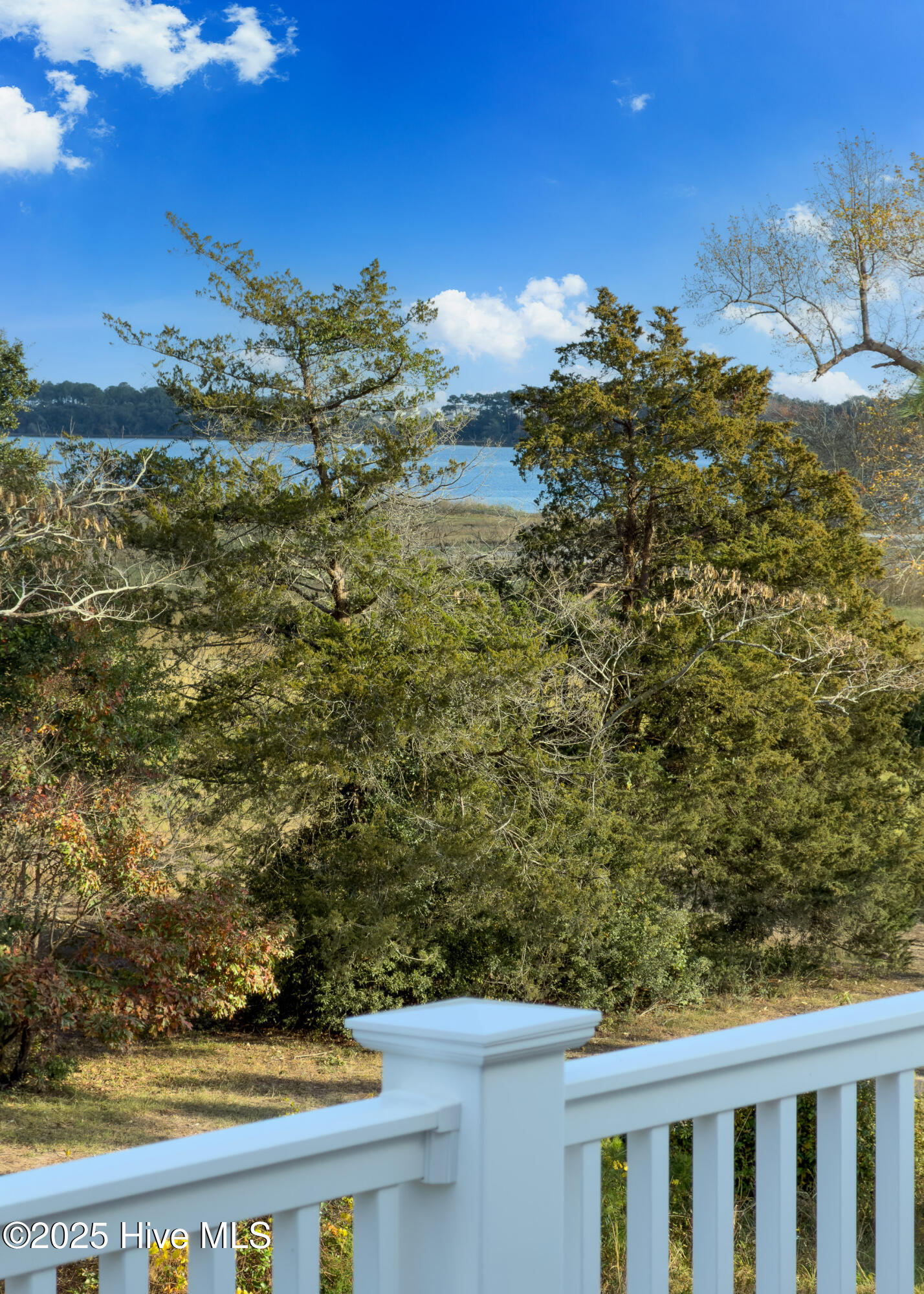 100525288 | Photo 58