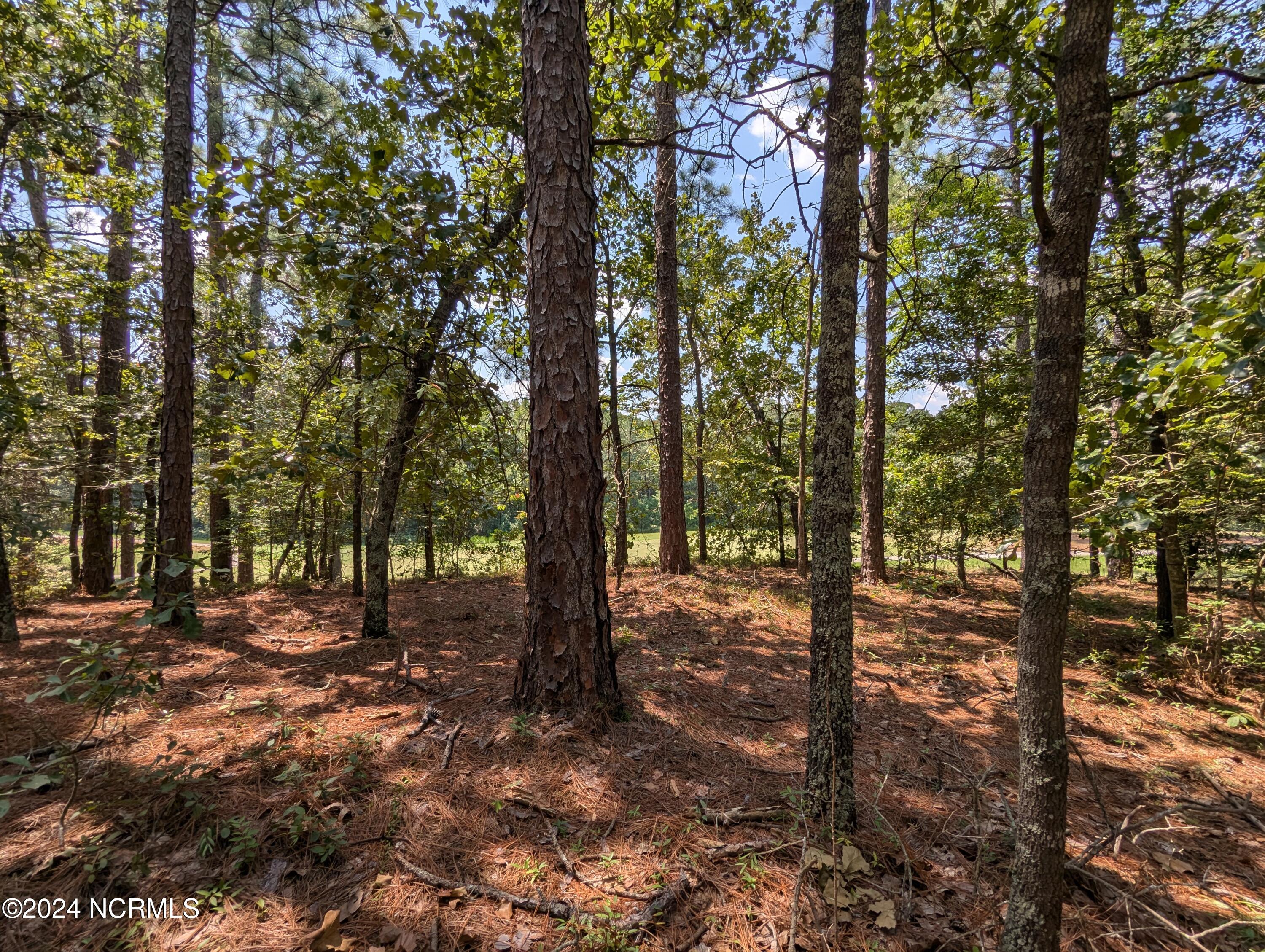 445 Thimbleberry Drive, Vass, NC, 28394