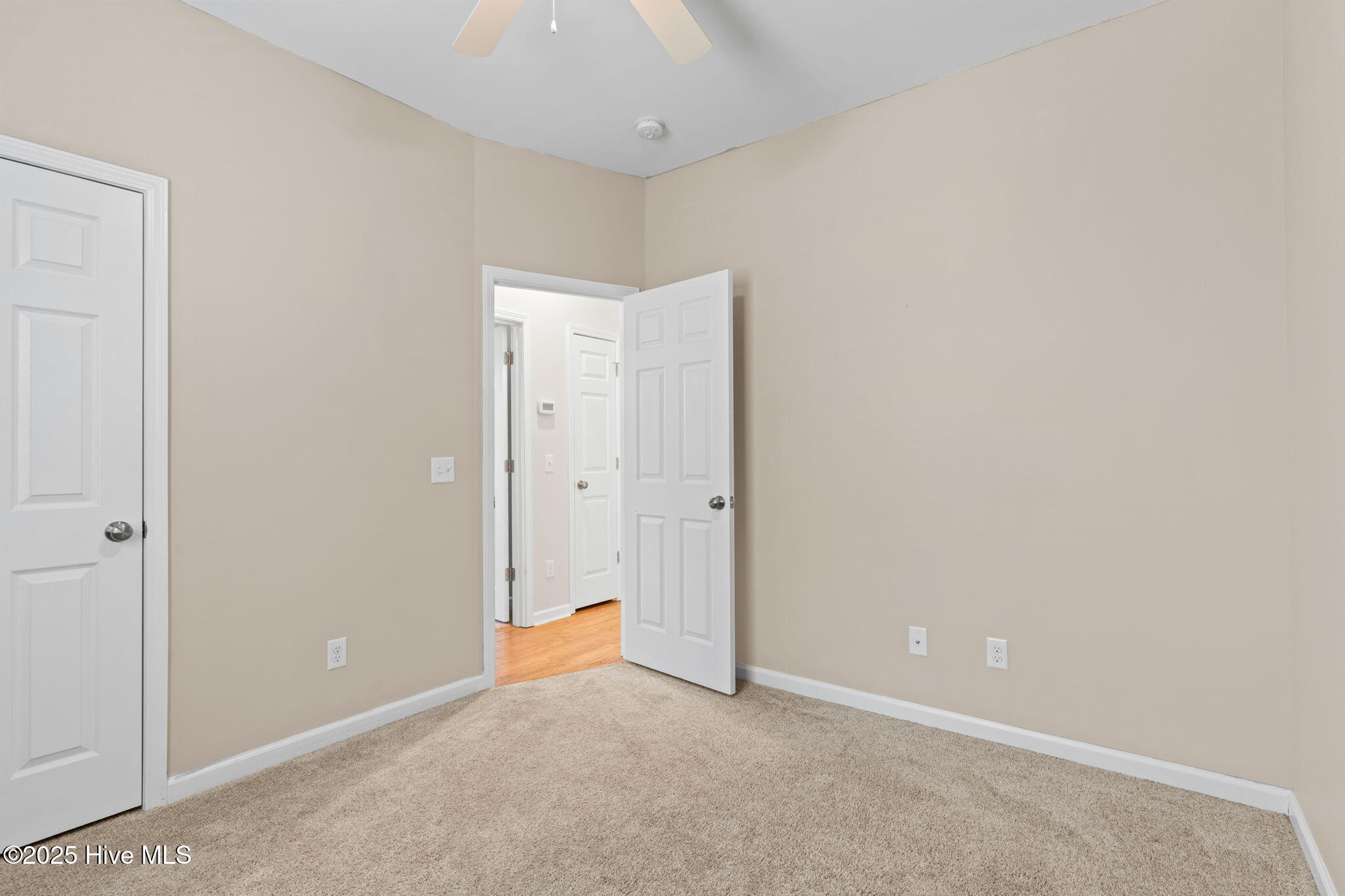 100501996 | Photo 27