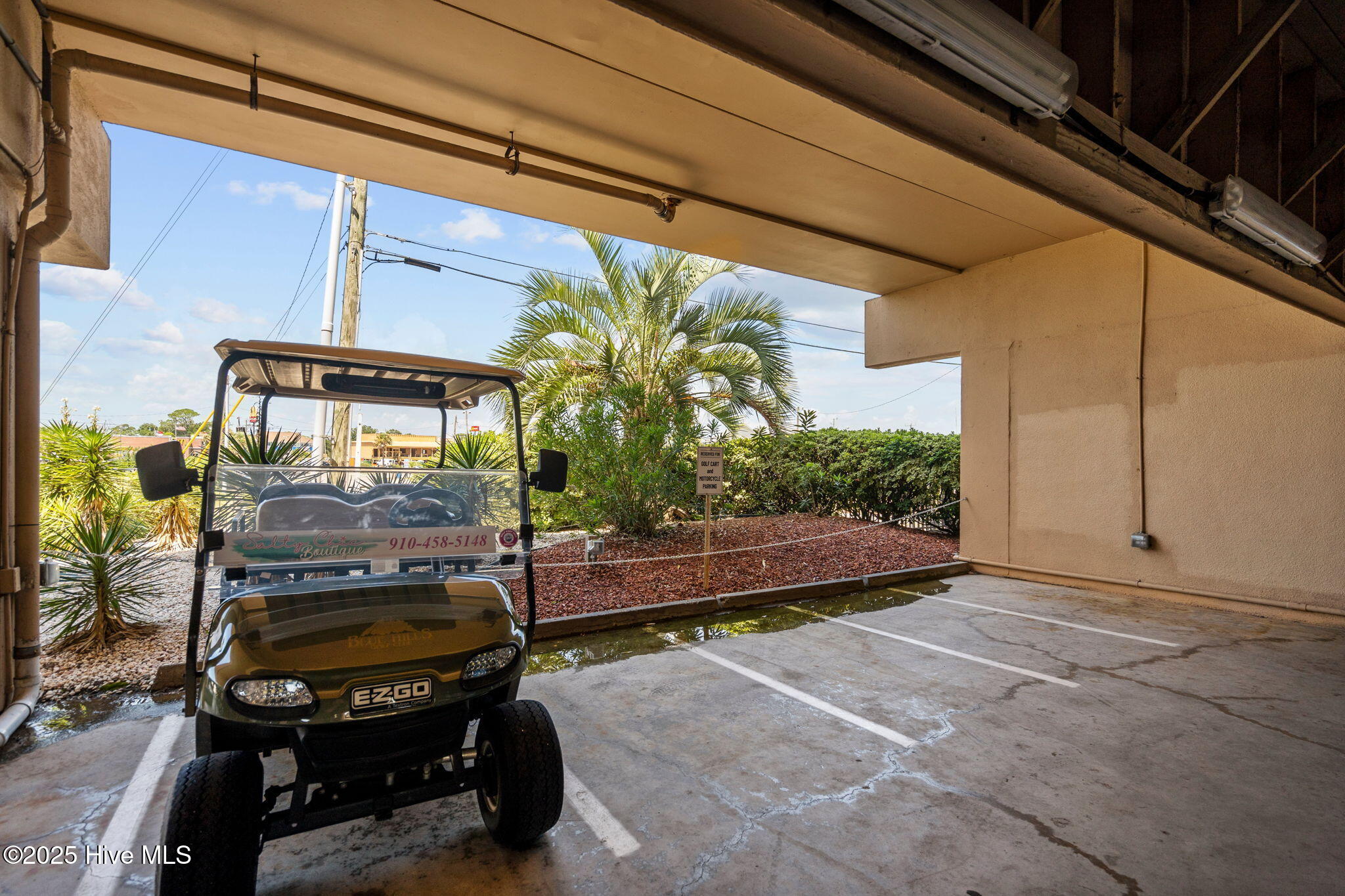 100535263 | Photo 51