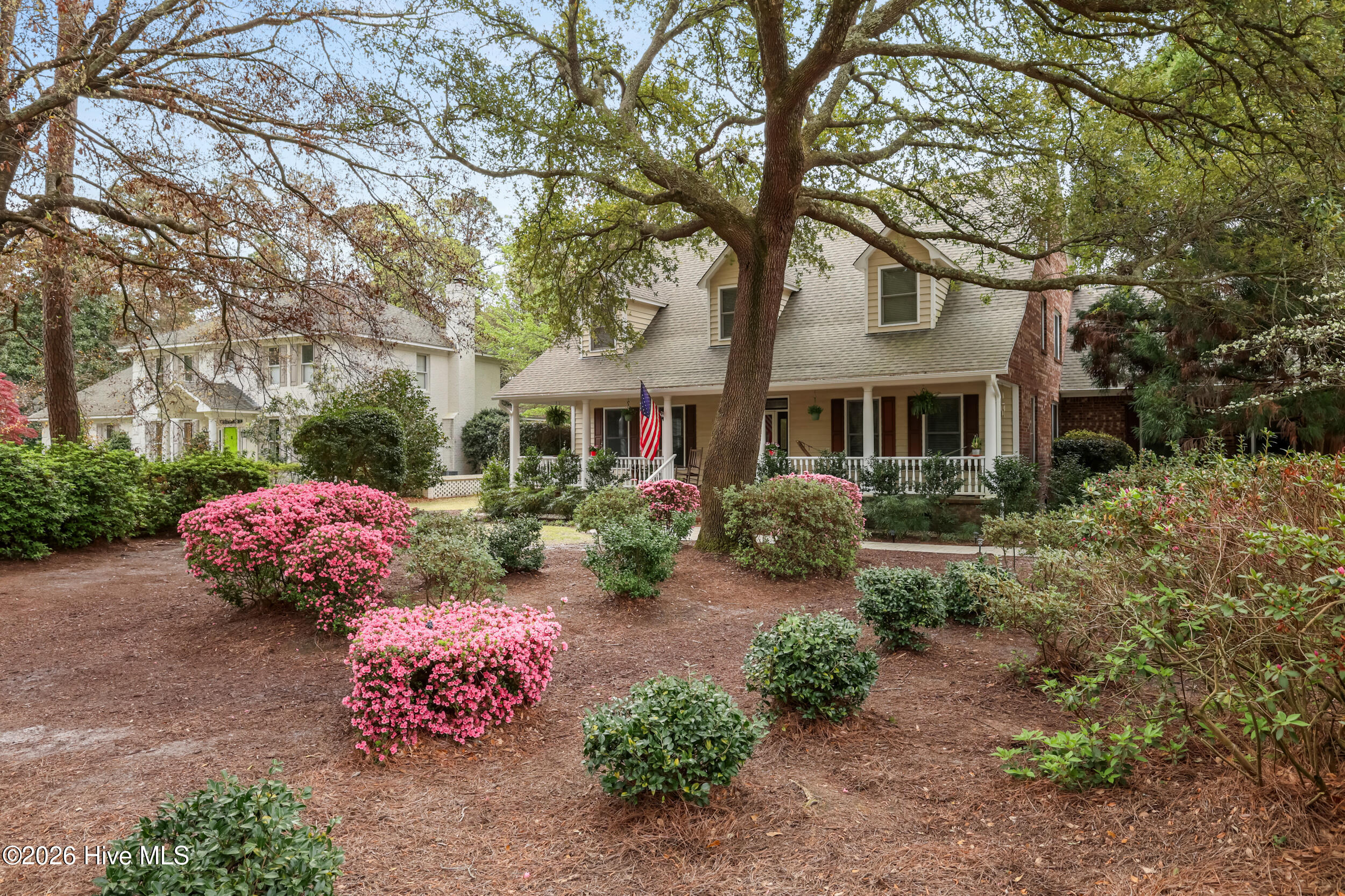 100507582 | Photo 58