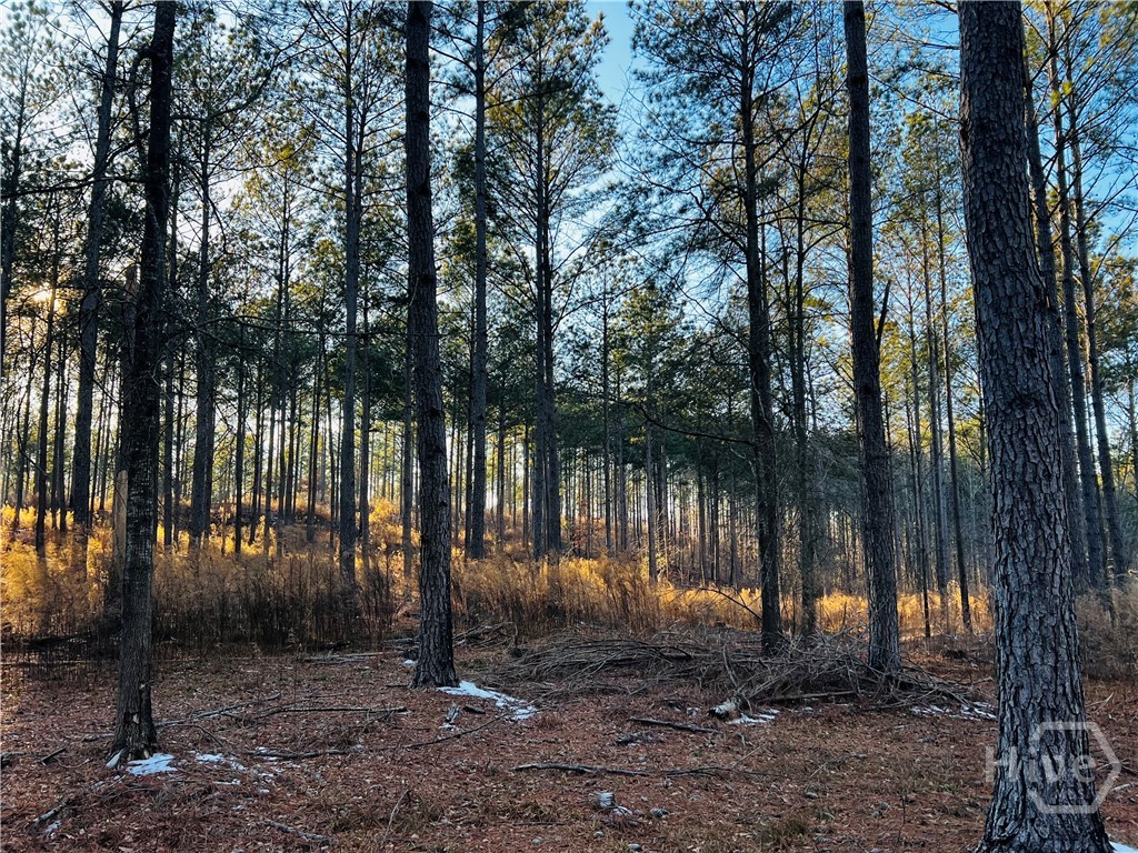 2285 Cherokee Road, Comer, GA, 30629