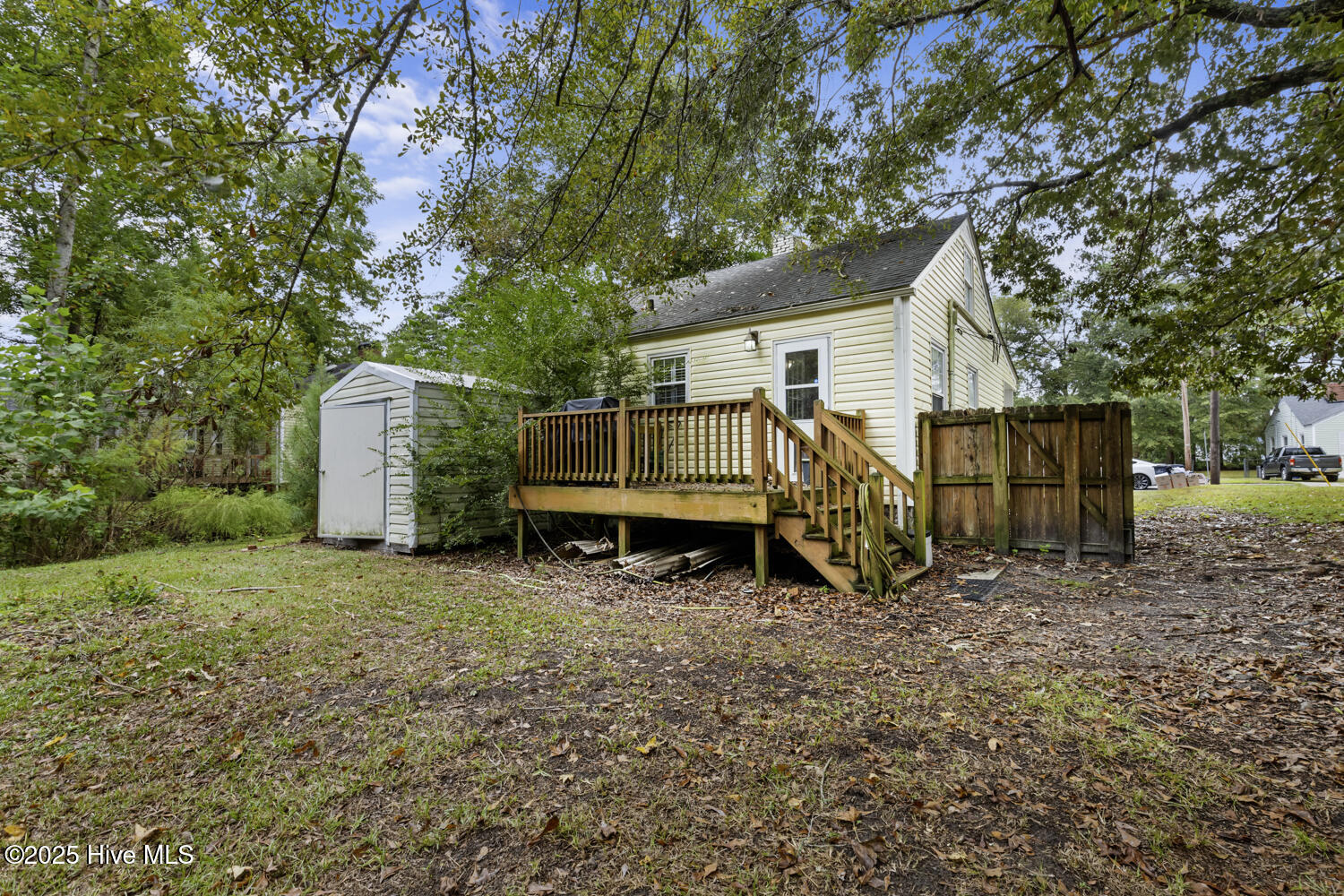 100533729 | Photo 24