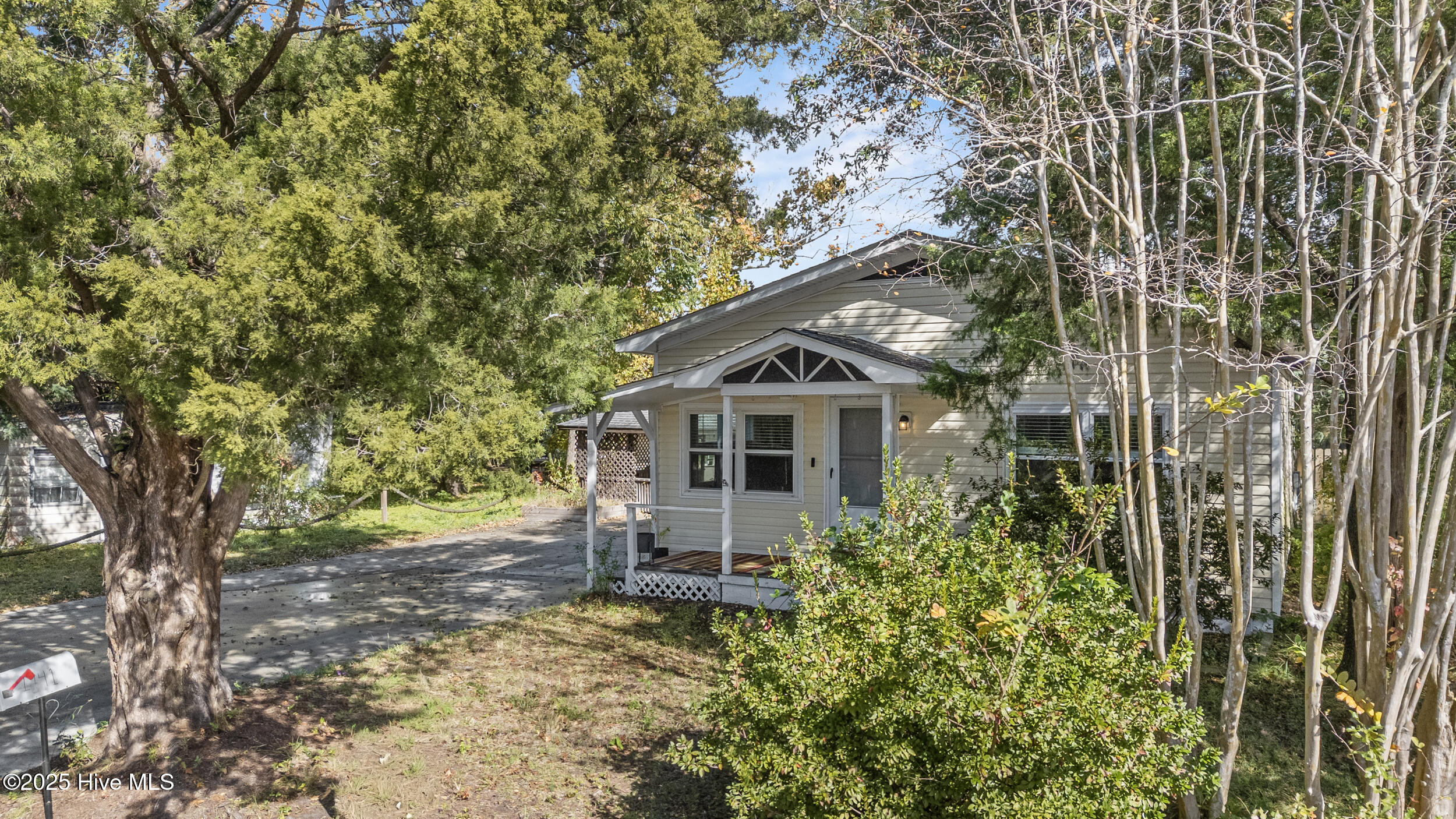 100520819 | Photo 12