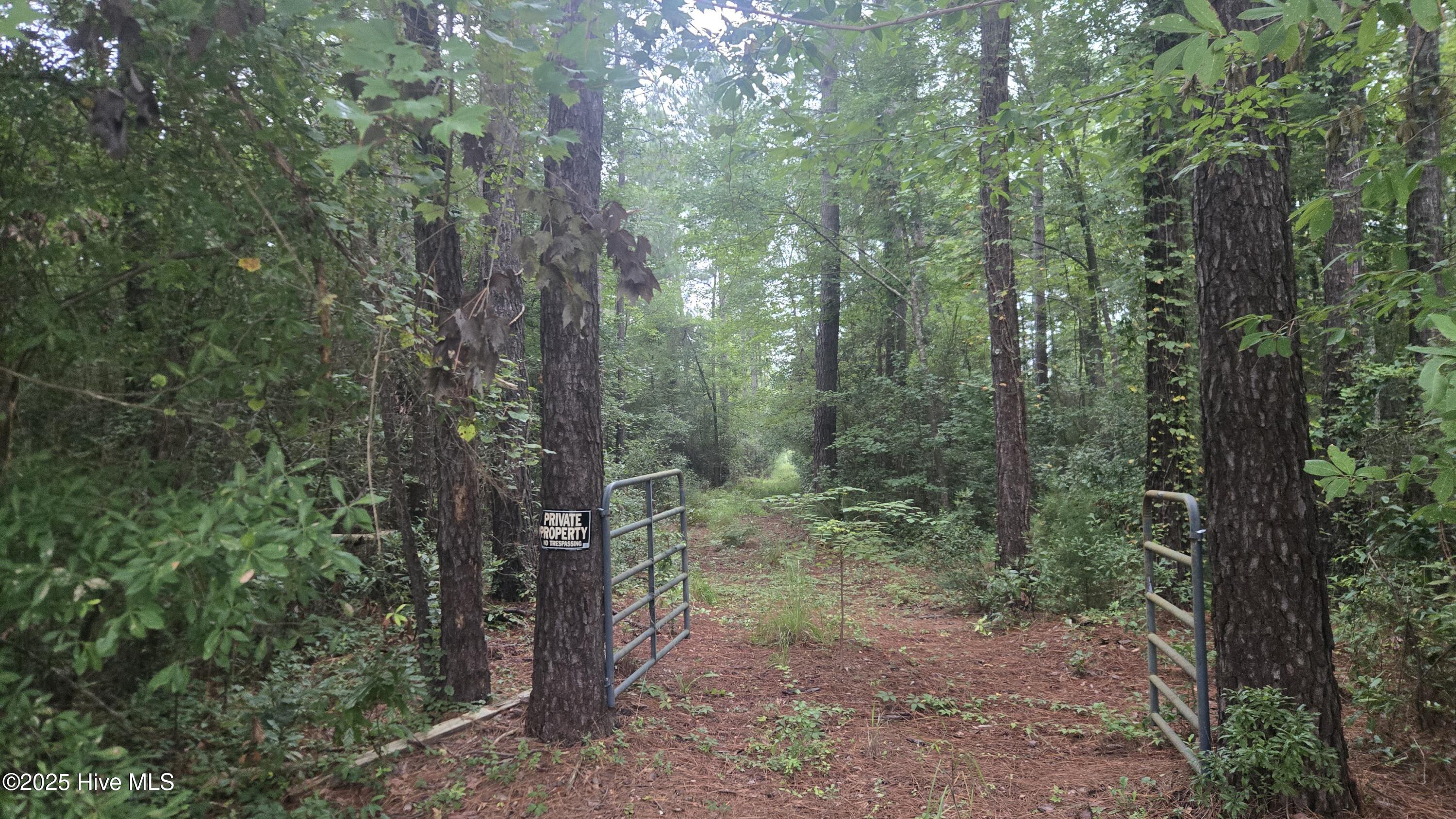 Homes for sale in Maysville, NC | Tbd Catfish Lake Rd, Maysville, NC 28555 | MLS# 100526381