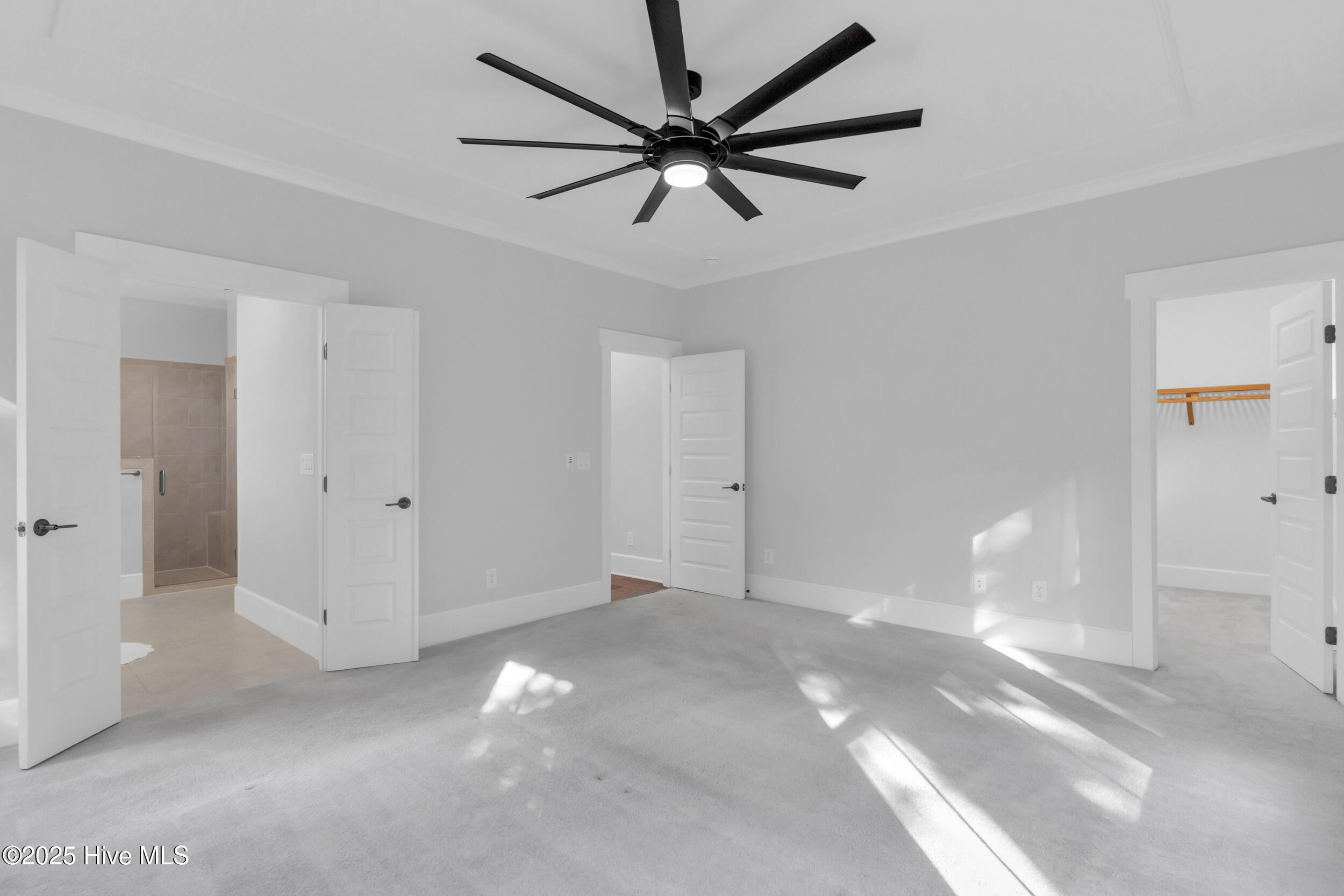 100535117 | Photo 21