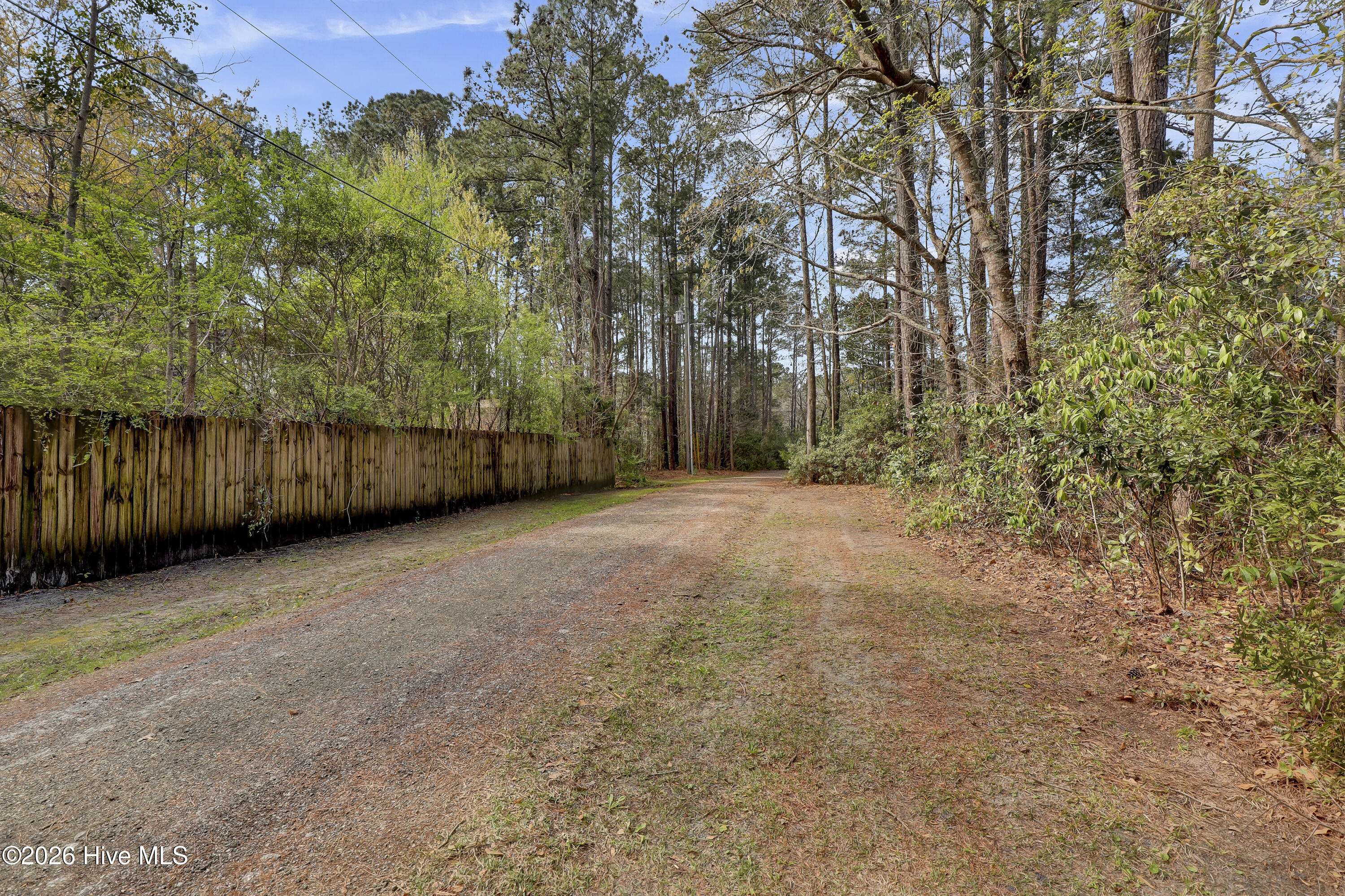 100562541 | Photo 44