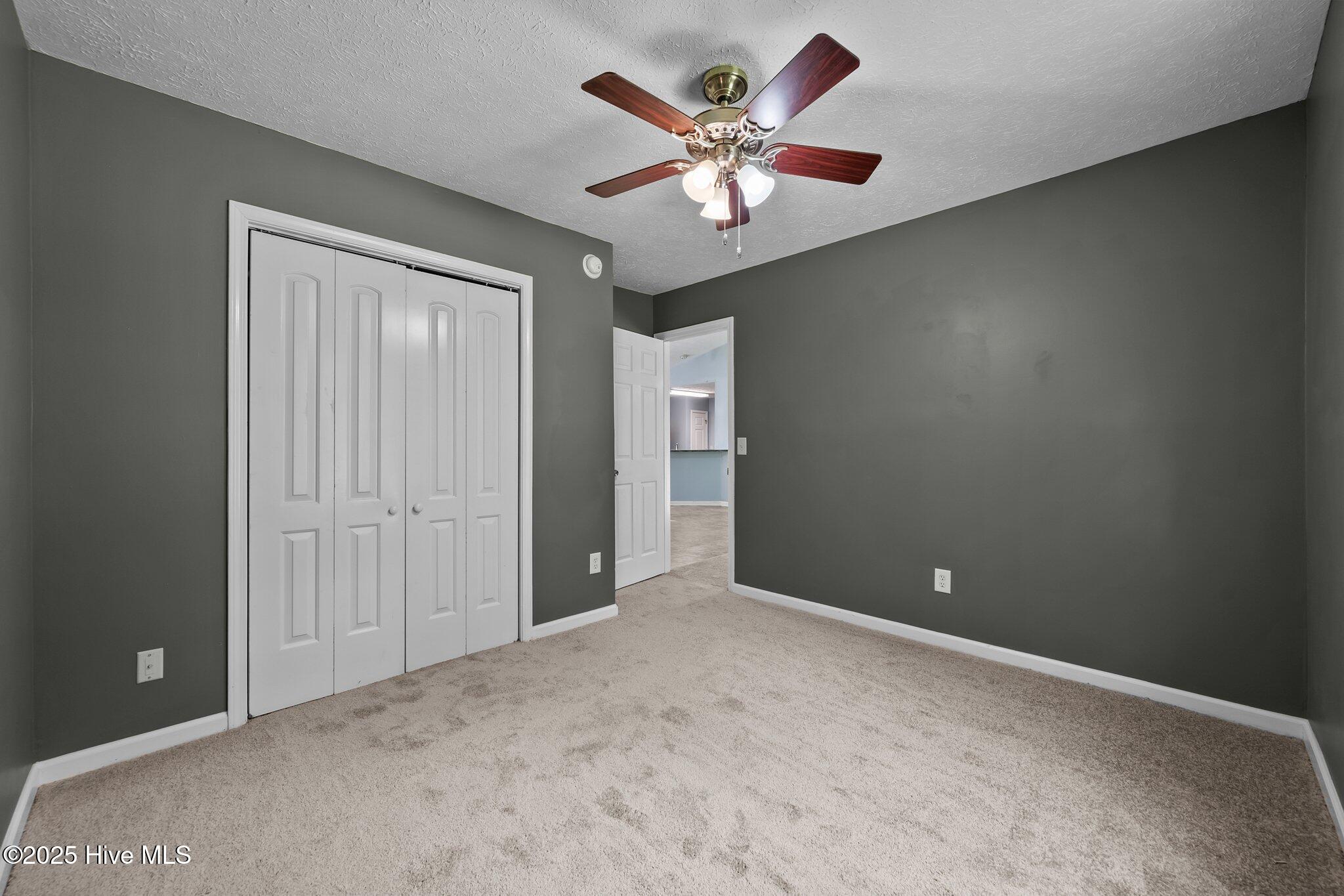 100545668 | Photo 13