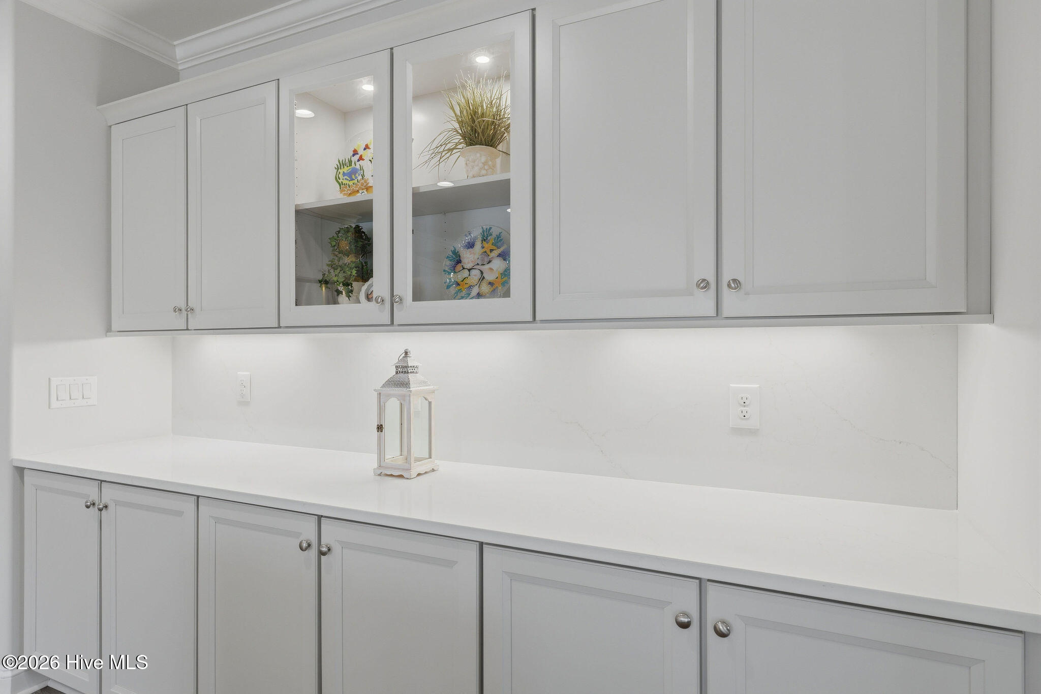 100564849 | Photo 24