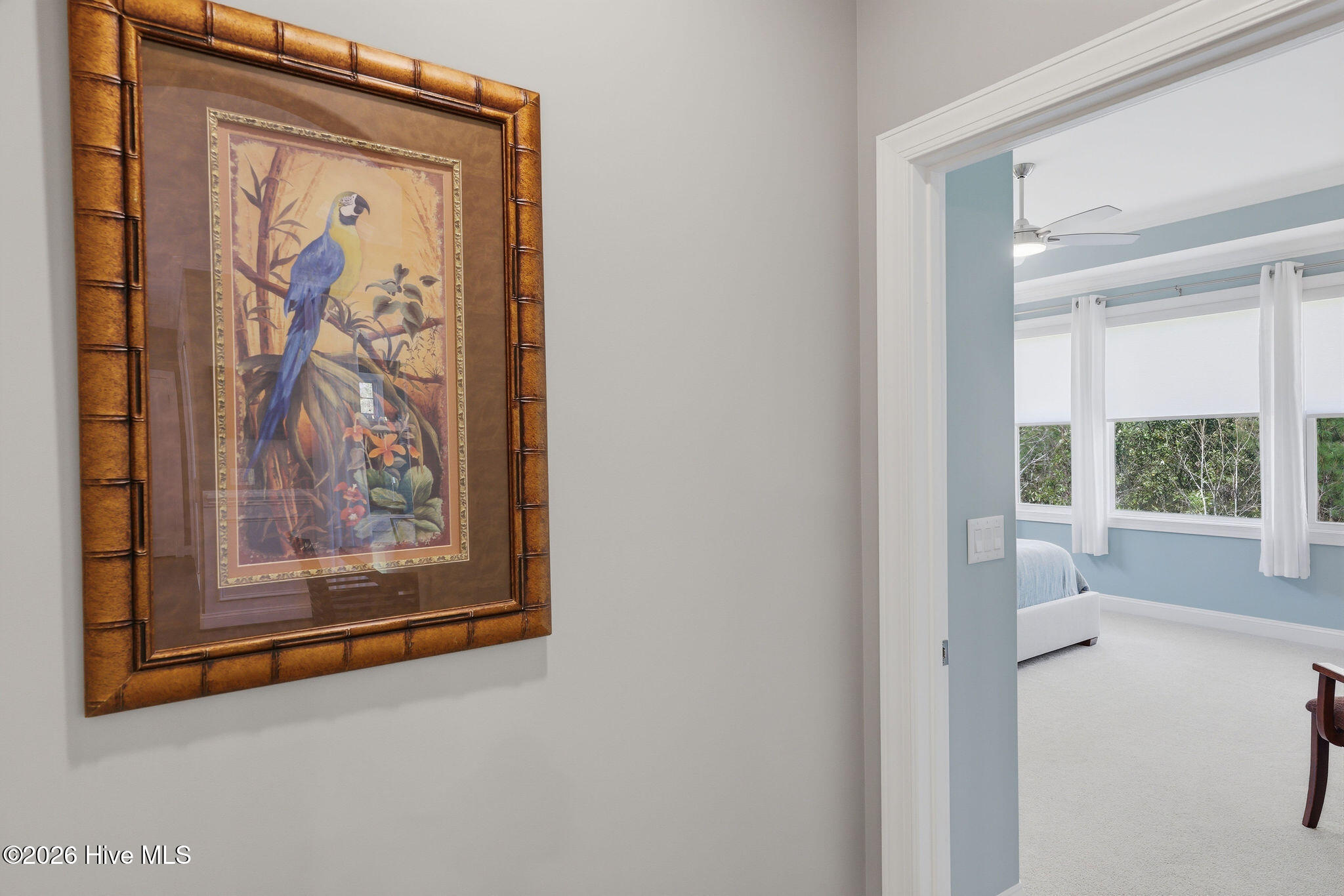 100564757 | Photo 42