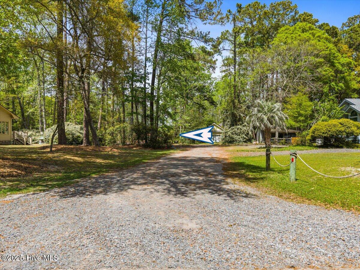 100499822 | Photo 19