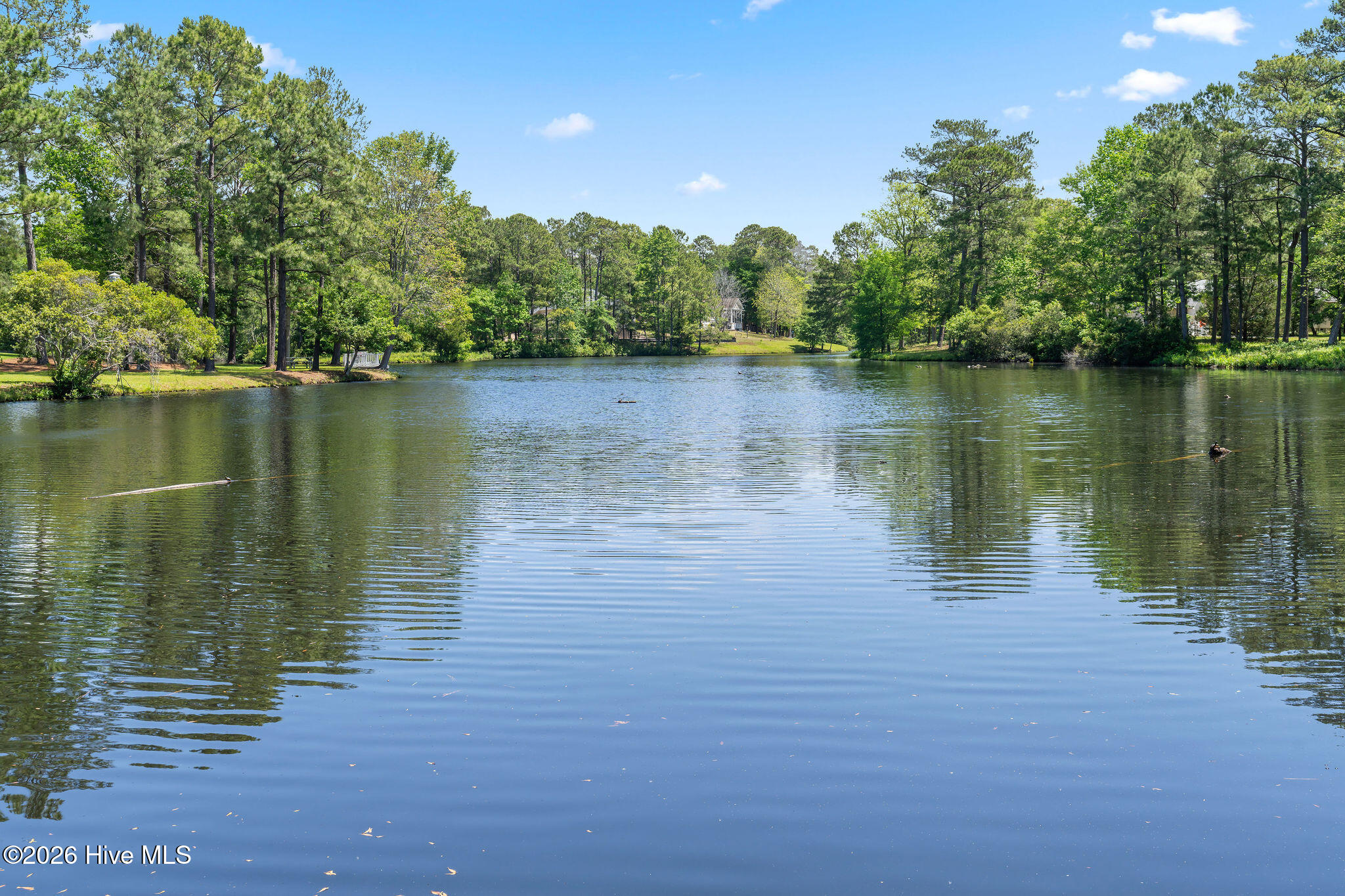 100567375 | Photo 70