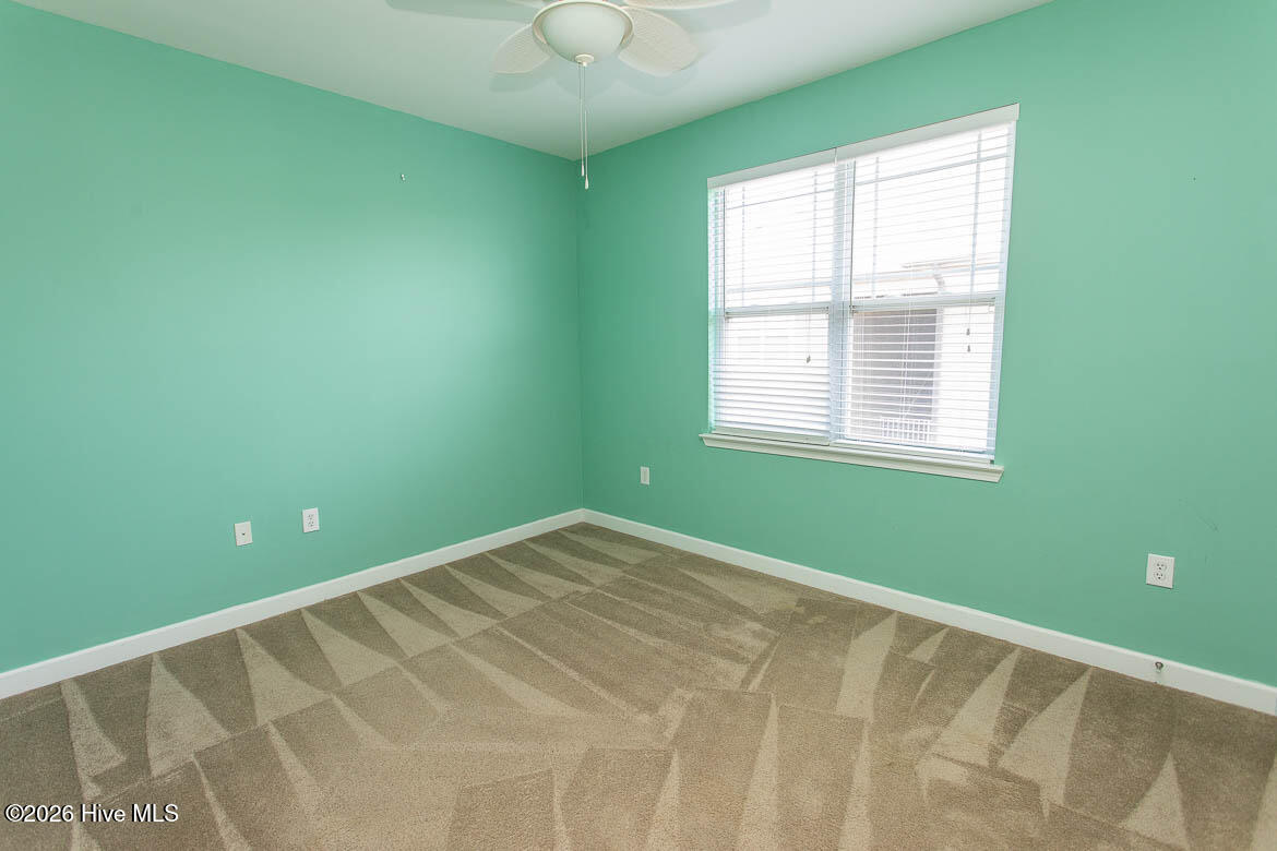 100564838 | Photo 24