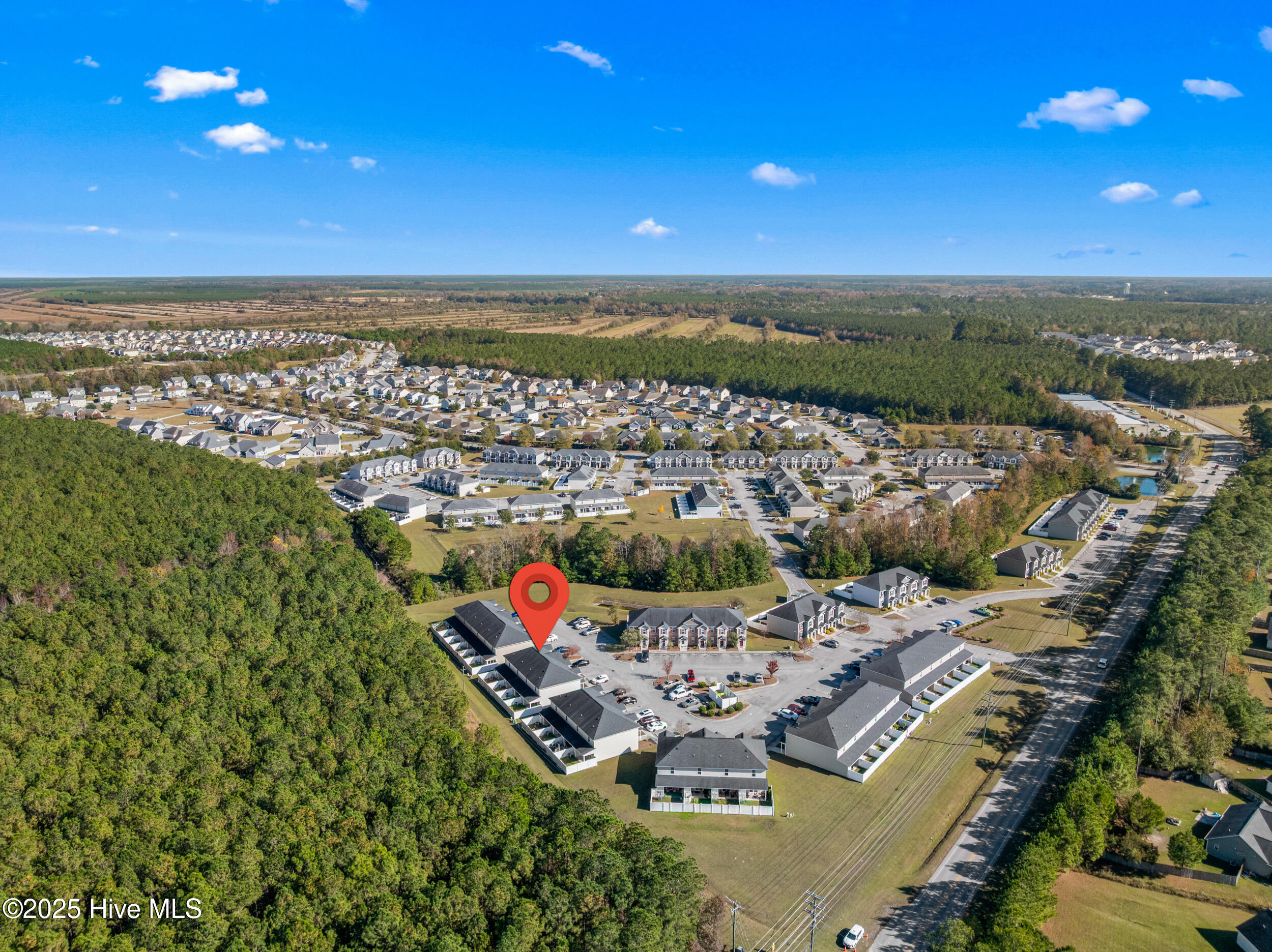 100541514 | Photo 37