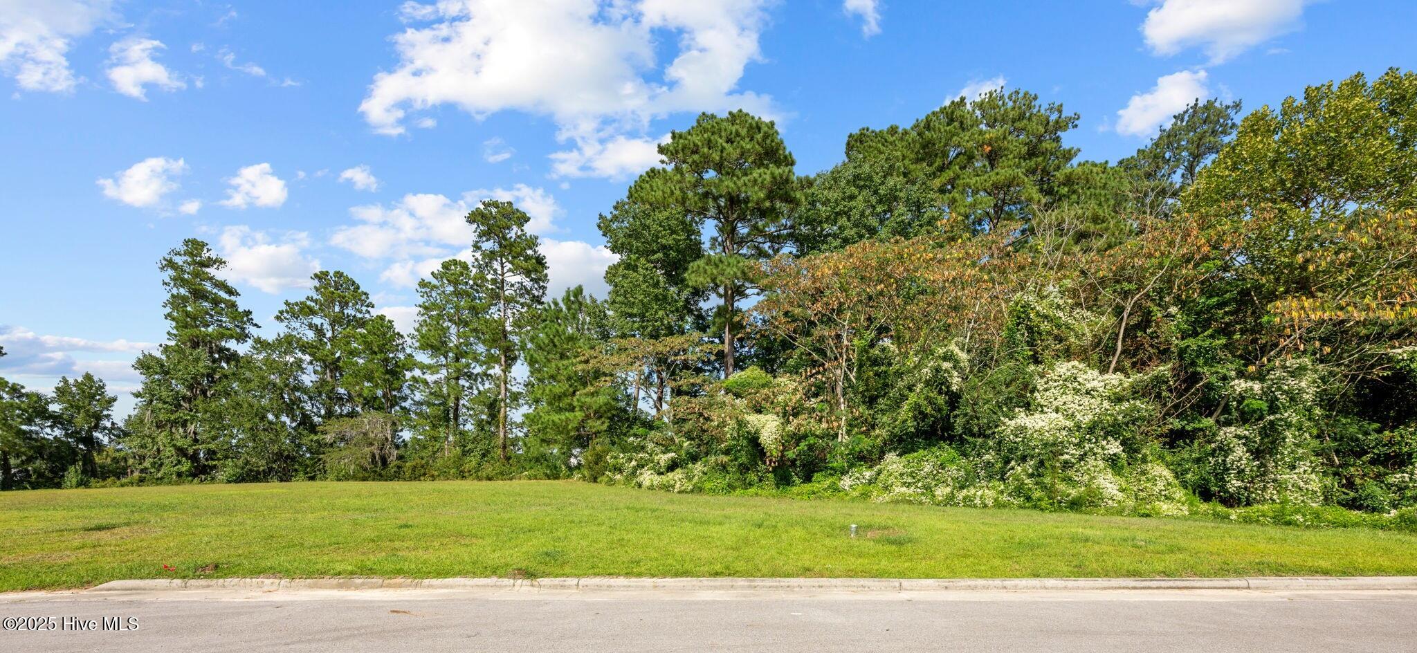 Street view of slopping treelined lot 43.