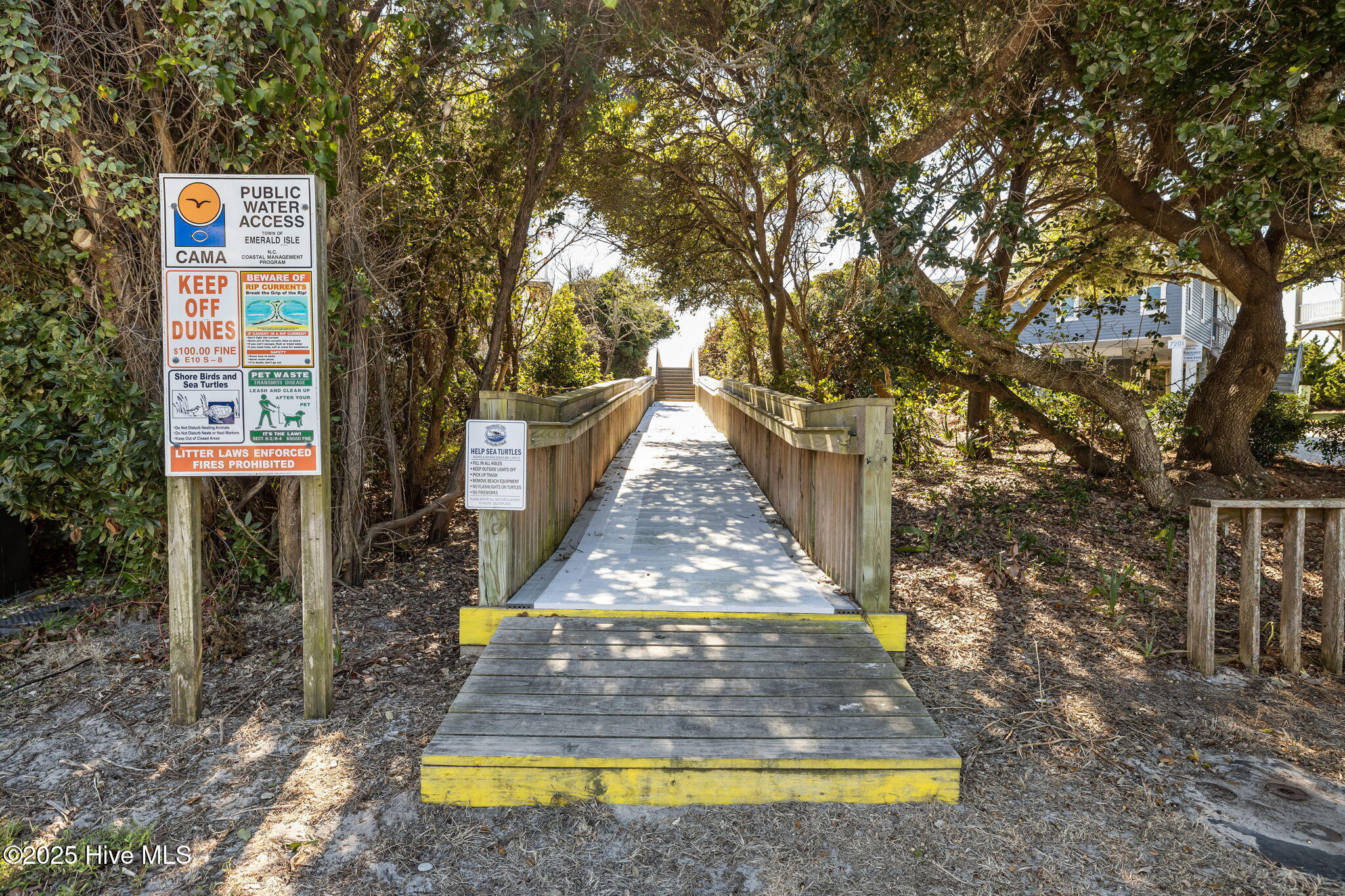 100536314 | Photo 43