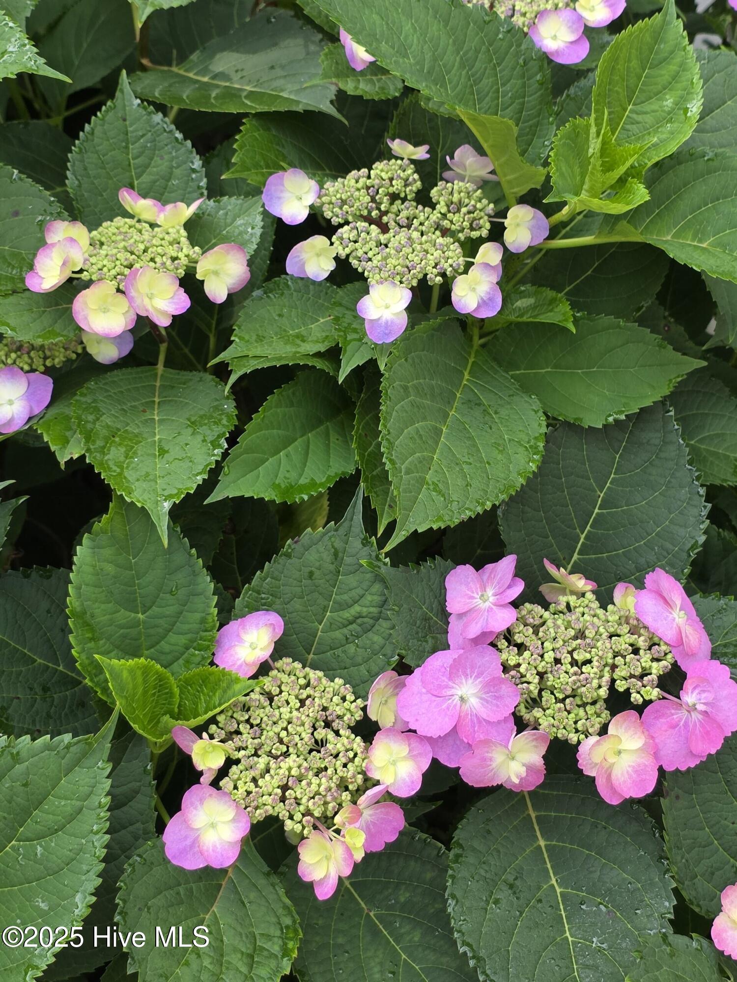 100500123 | Photo 44