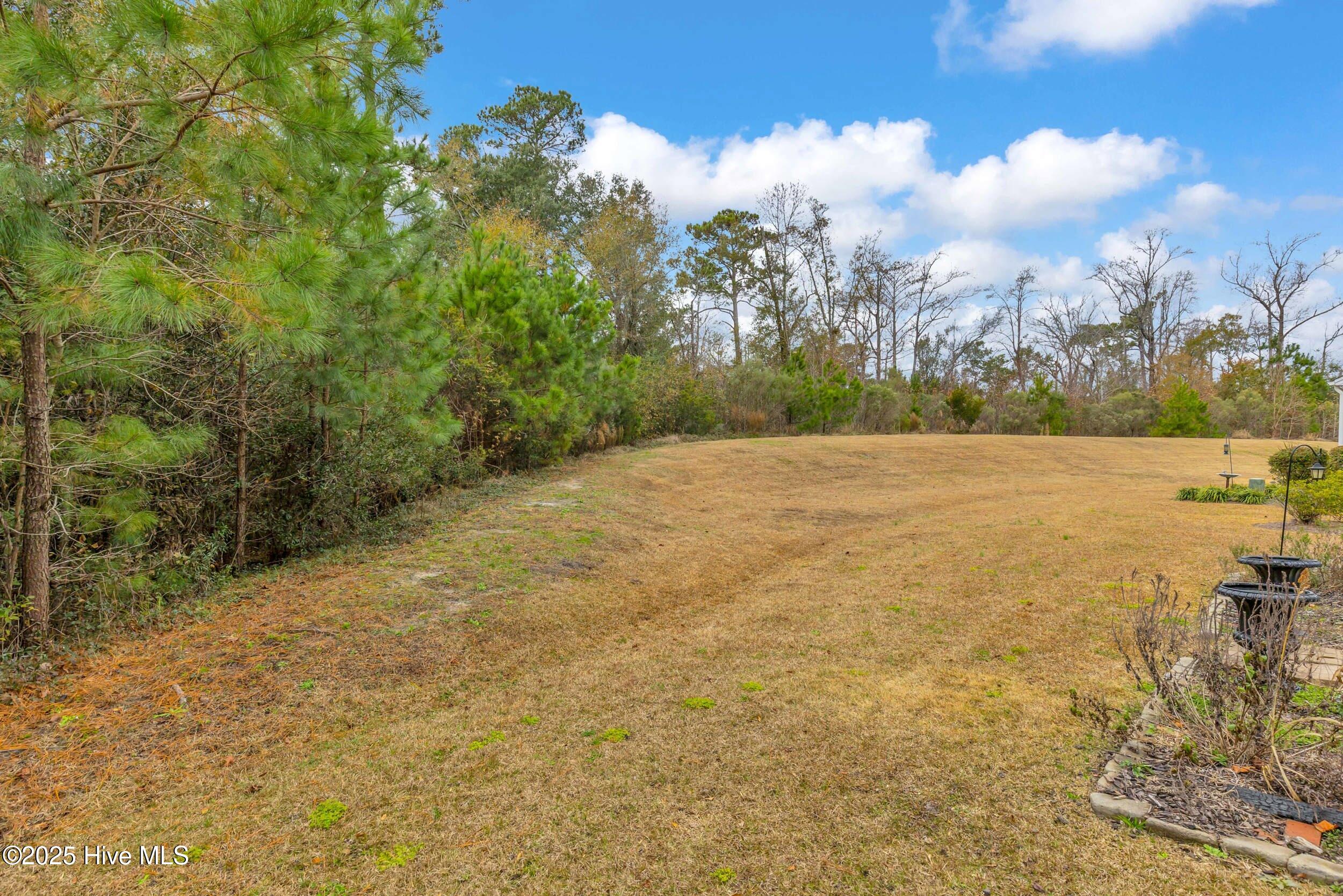 100546180 | Photo 34