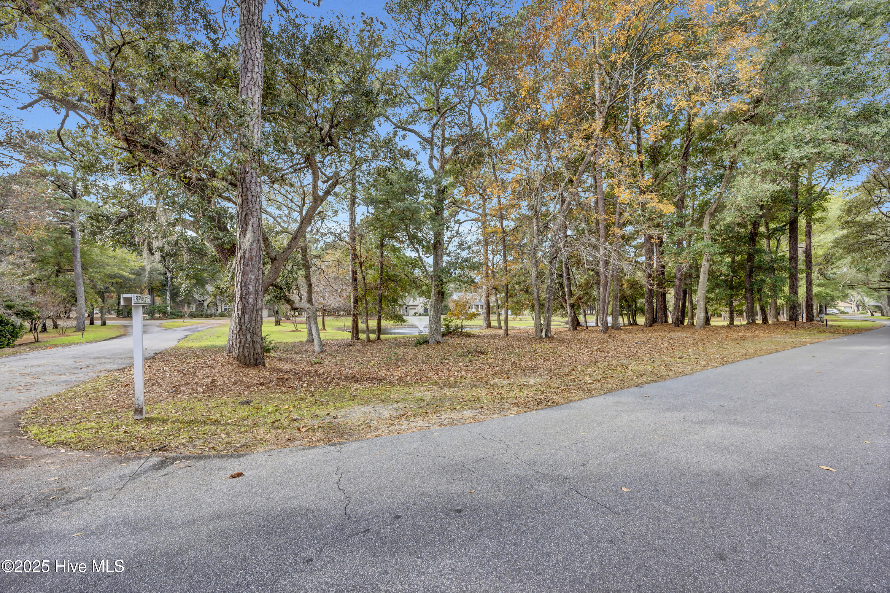 100542577 | Photo 24