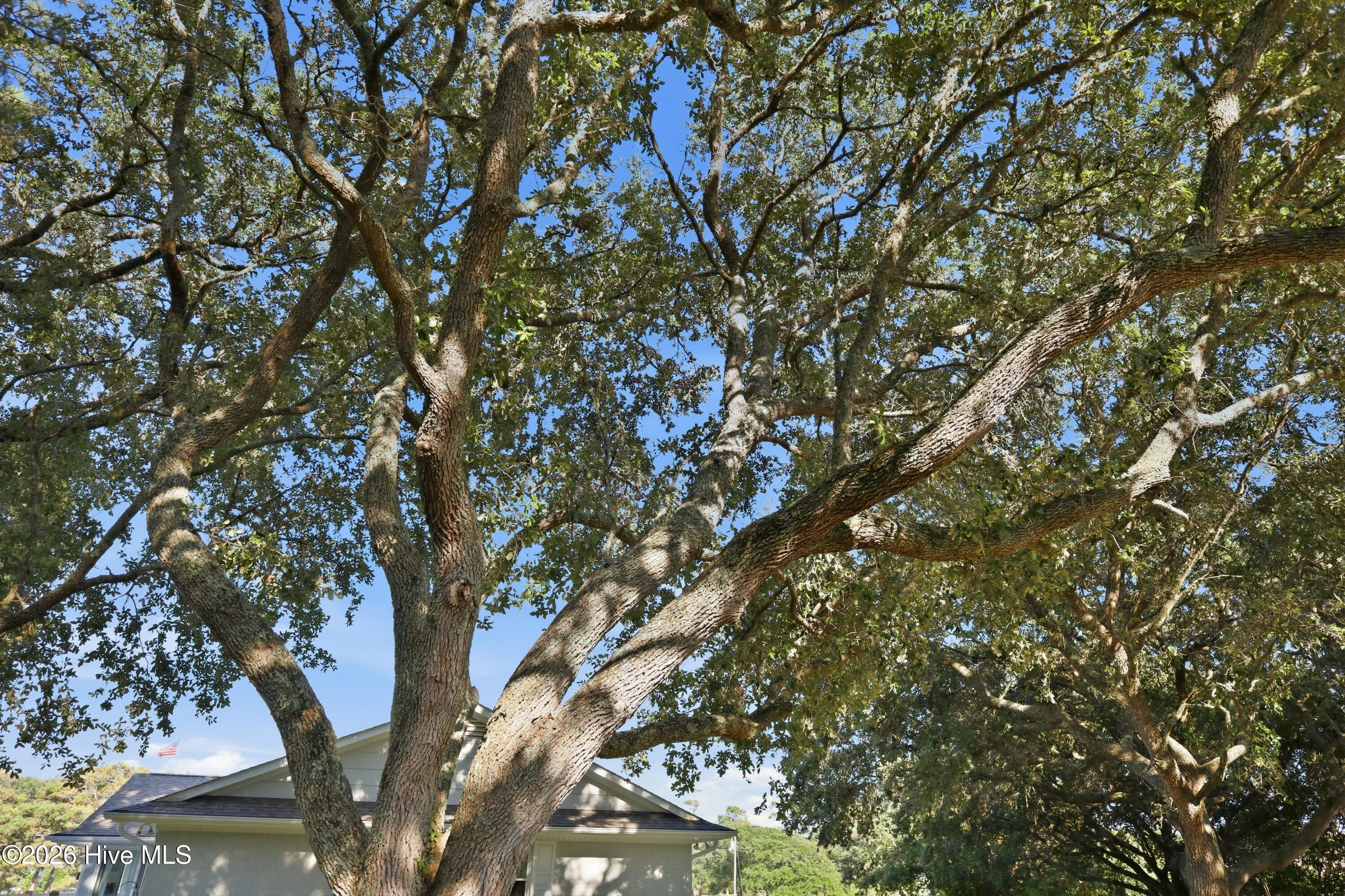 104 Sea Trace Lane,Newport