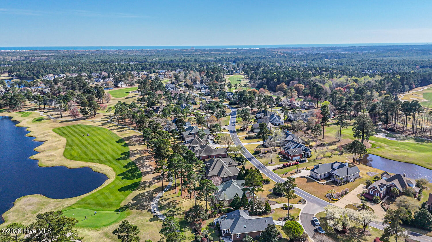 100561911 | Photo 72