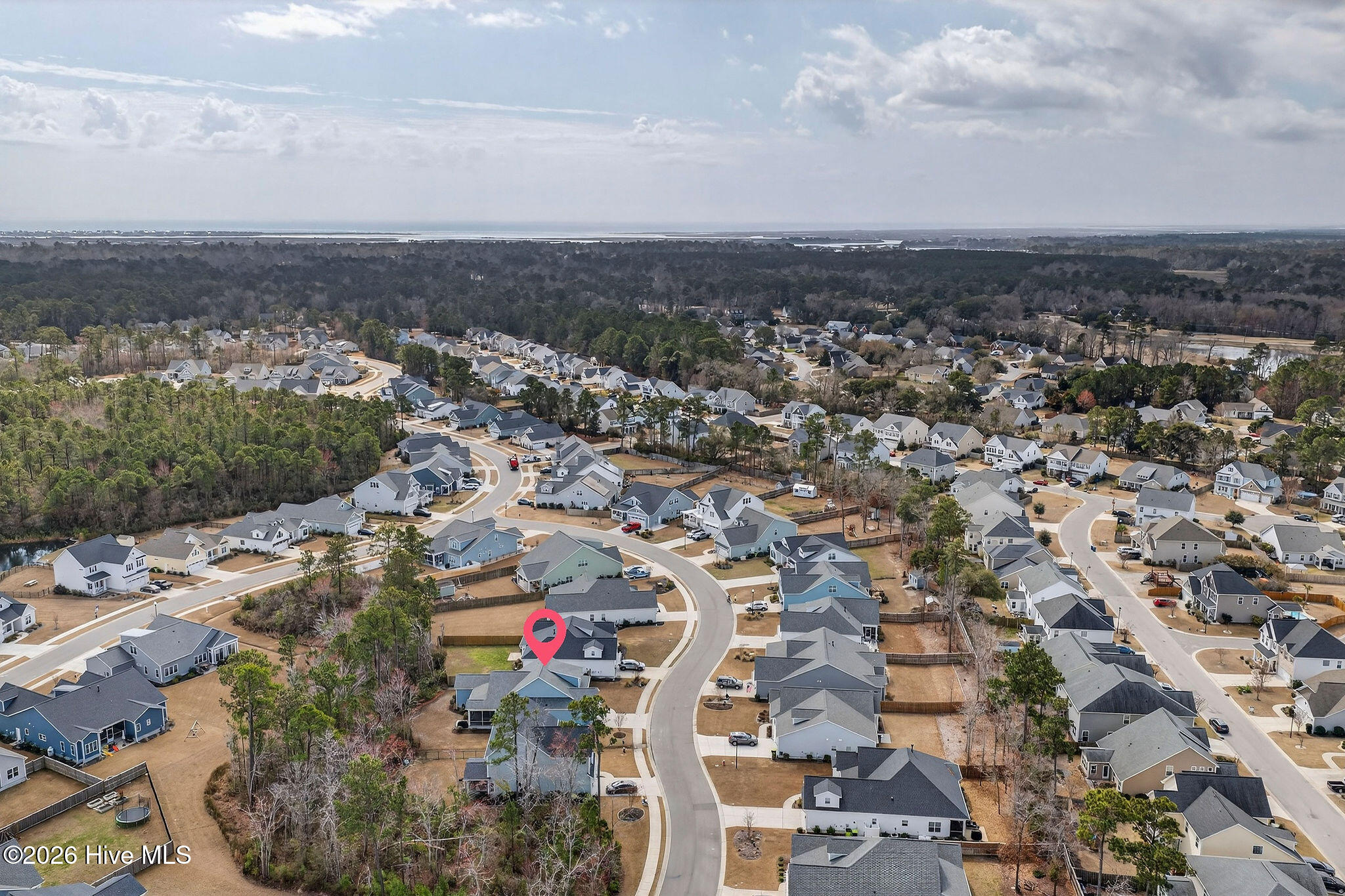 100558378 | Photo 57