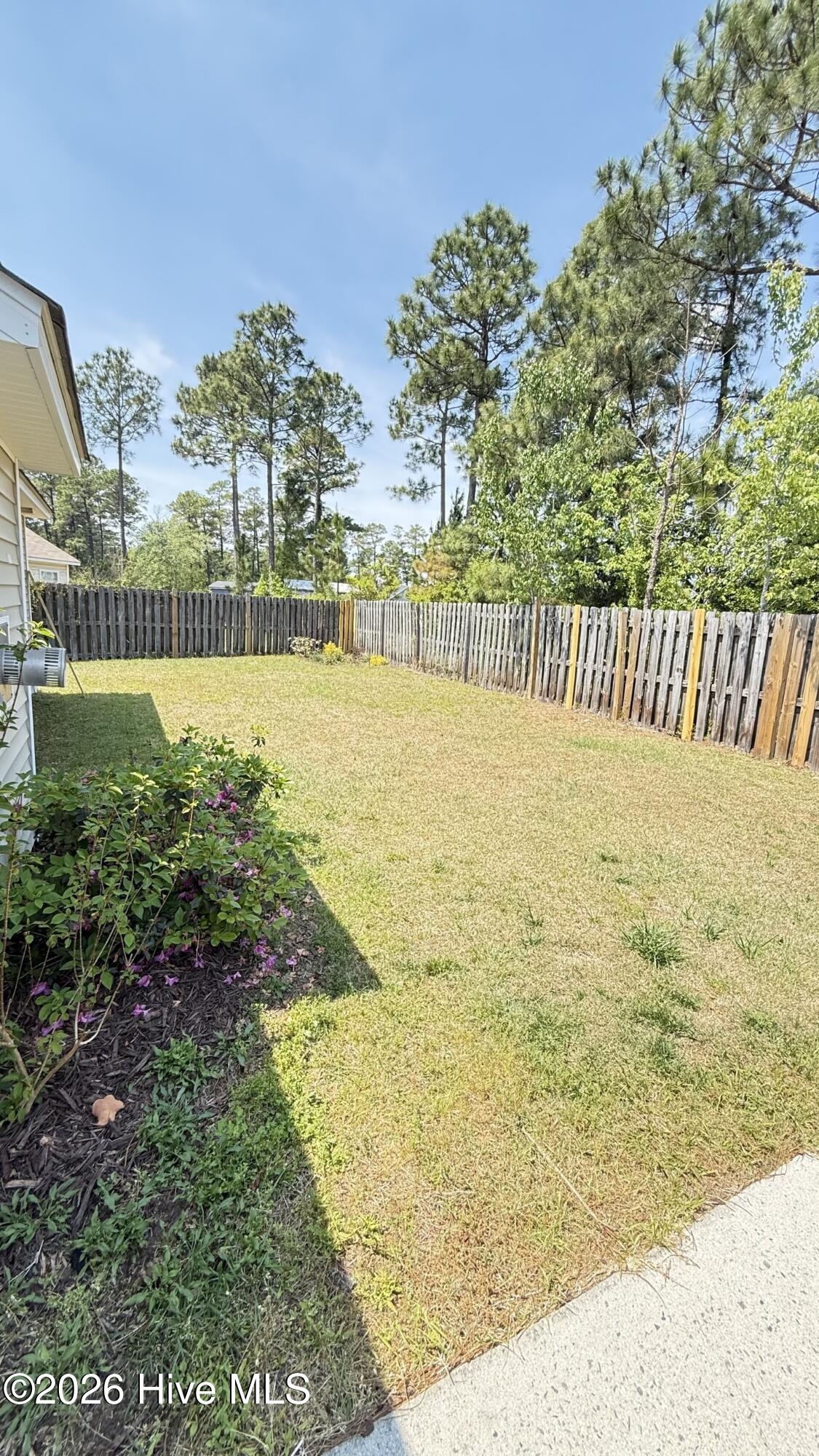 100567974 | Photo 12