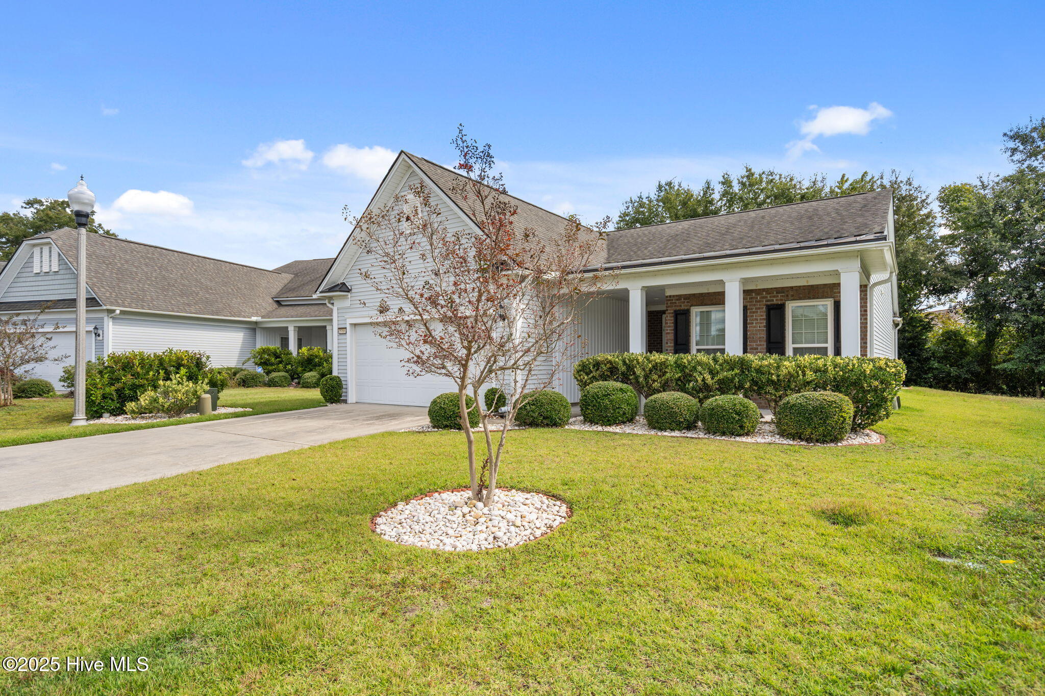 100515173 | Photo 38