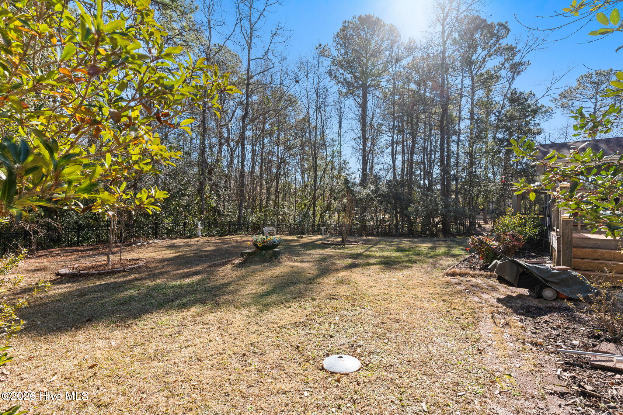 100553599 | Photo 56