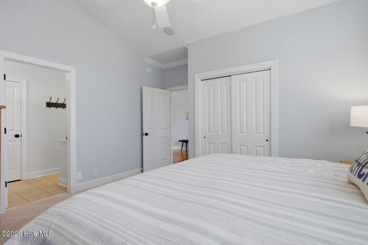 100555099 | Photo 28