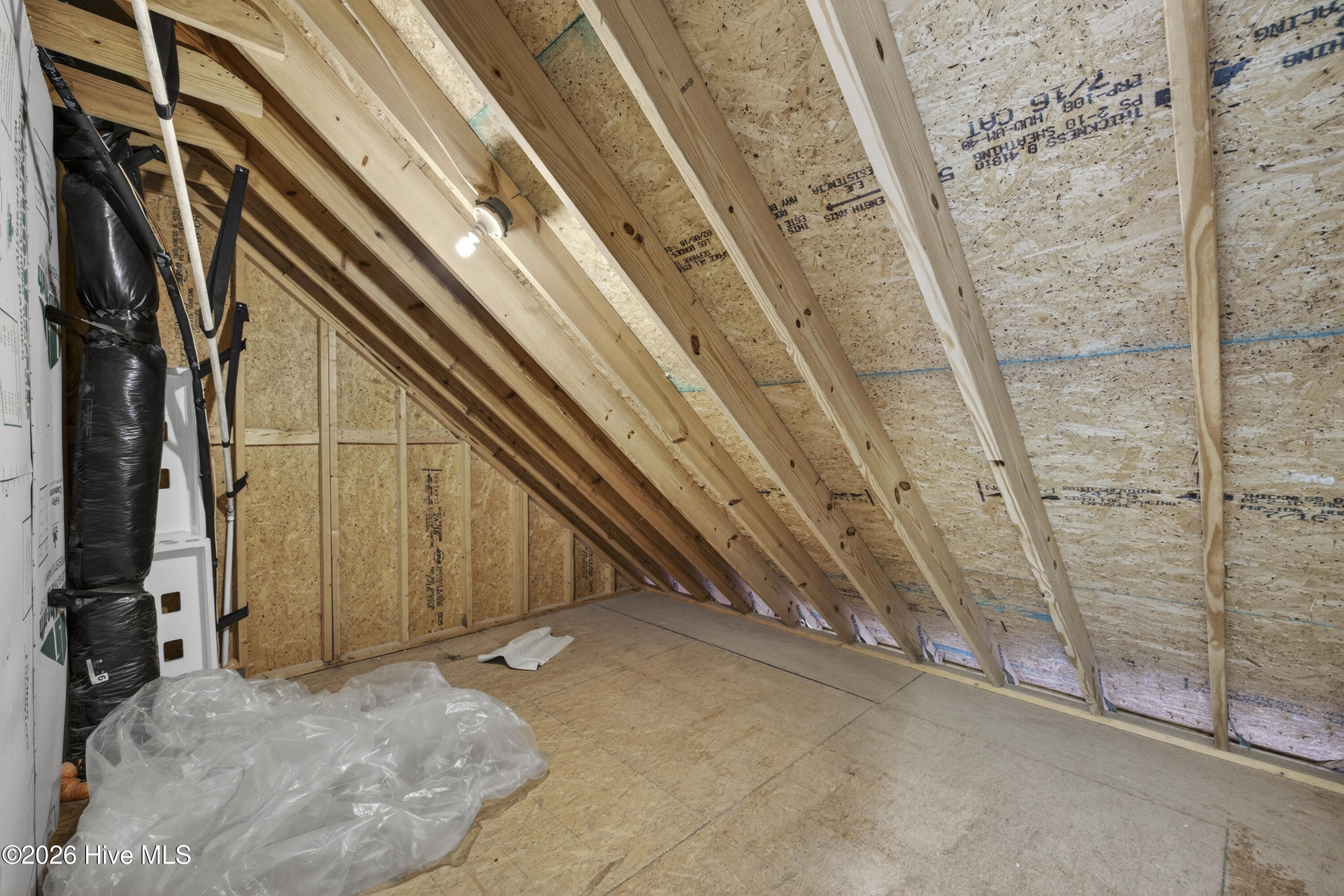 100555672 | Photo 40