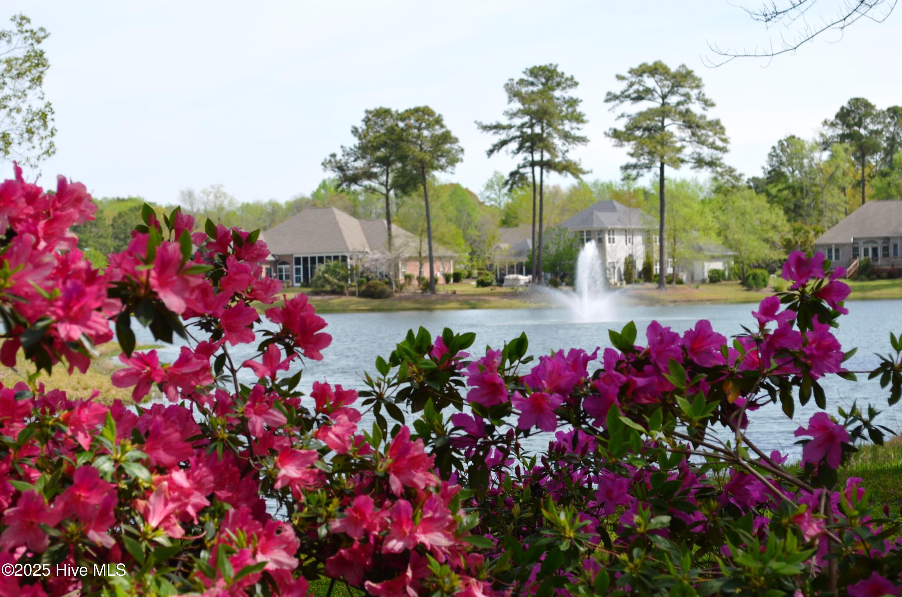 100560502 | Photo 11