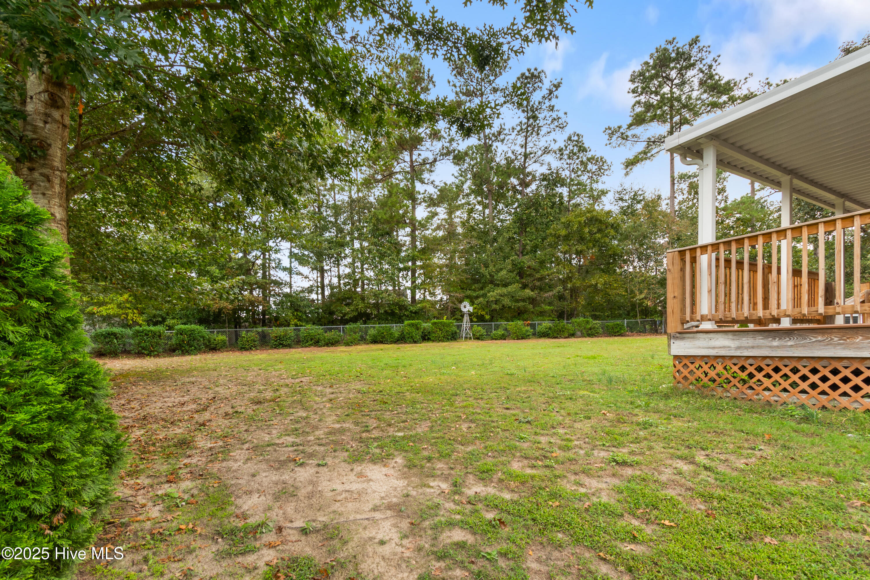 100532491 | Photo 40