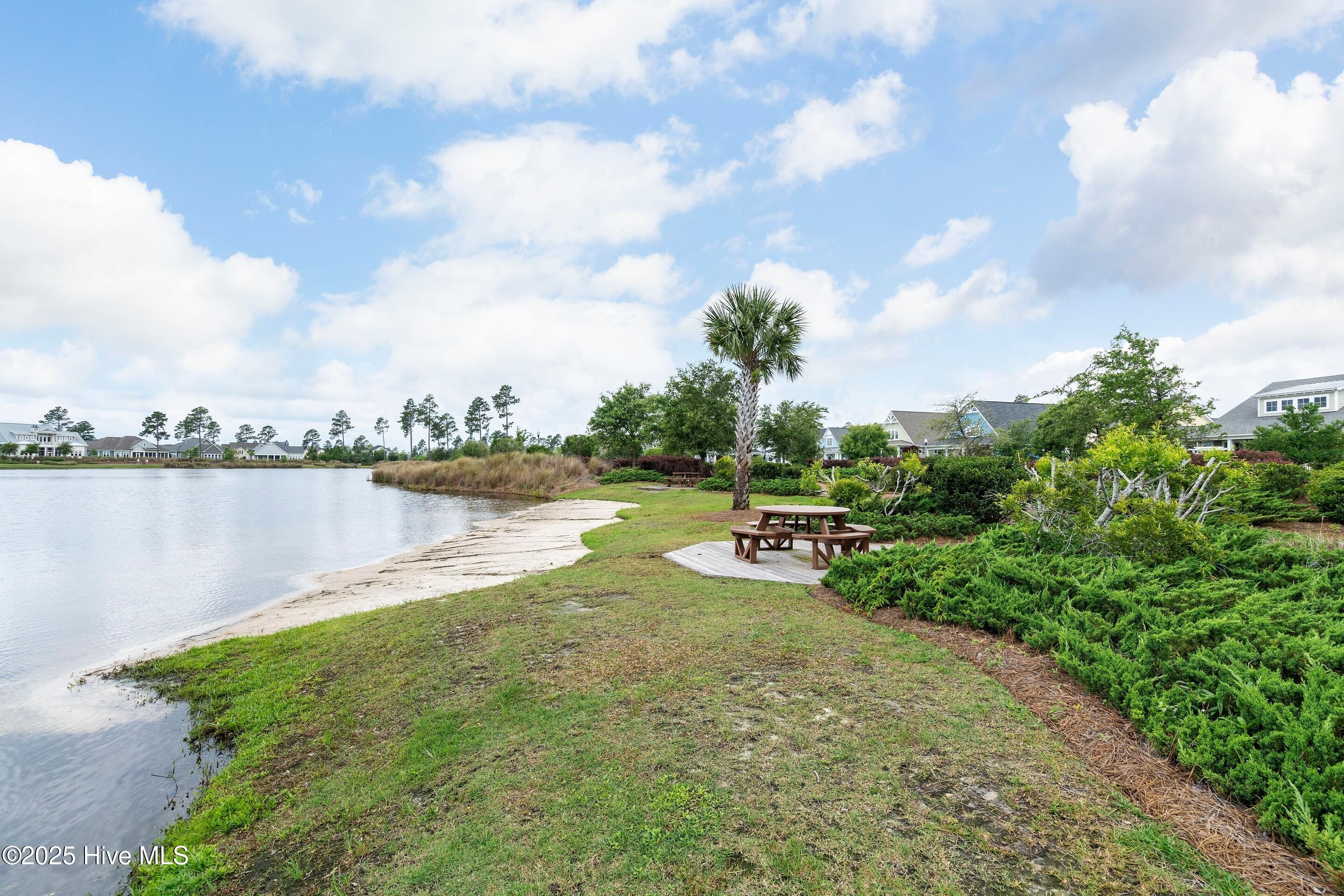 100531826 | Photo 87