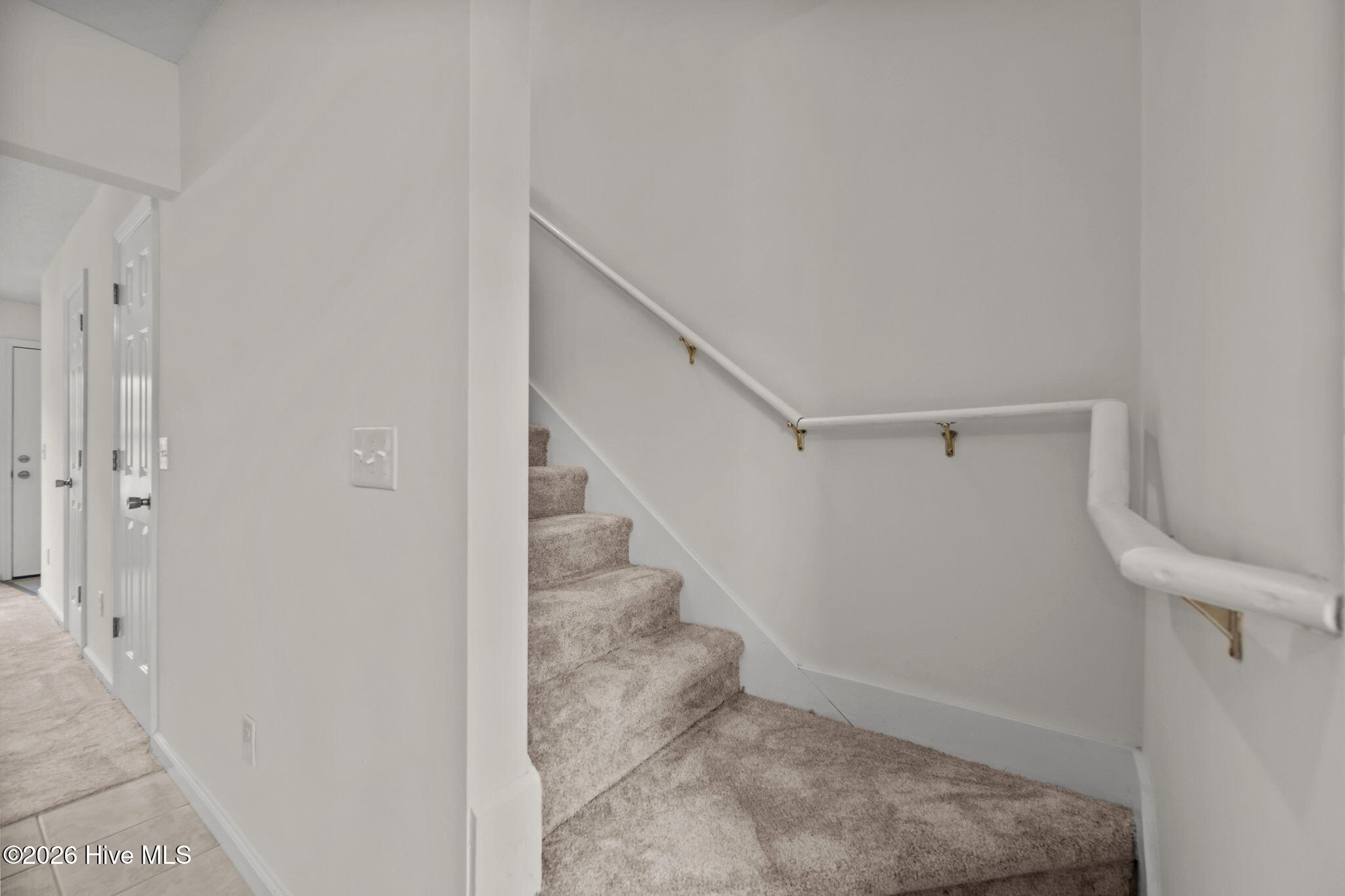 100555534 | Photo 17