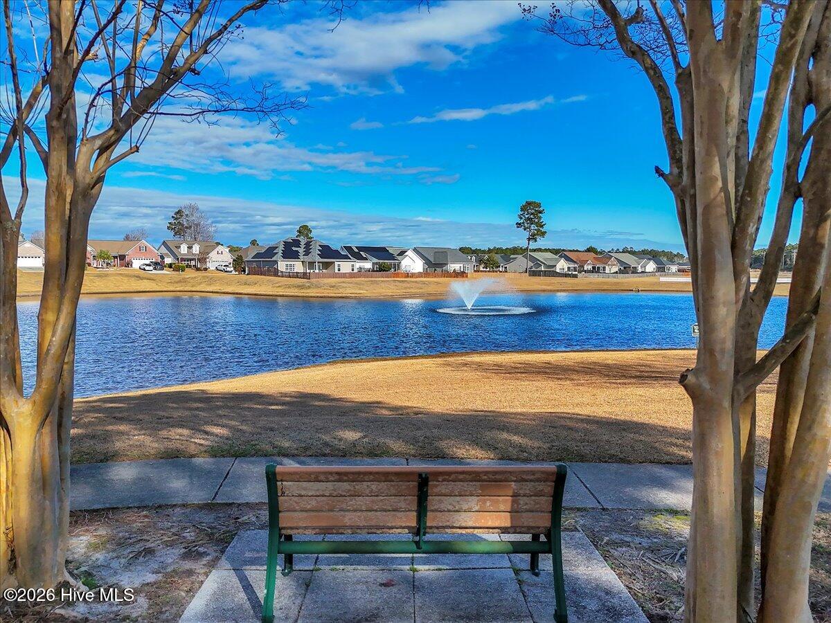 100551276 | Photo 42