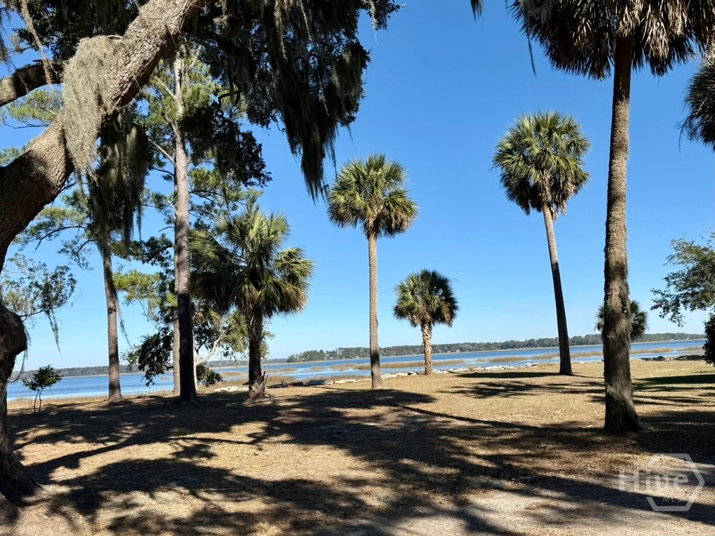 Lot Views out toward Colleton